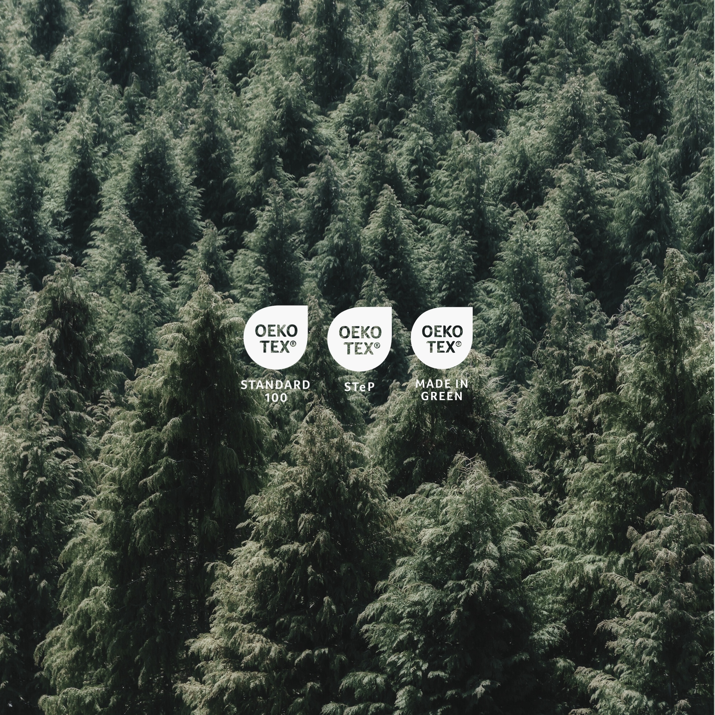 uncover by SCHIESSER Bettwäsche »Maxim aus edlem Baumwollsatin, 135x200cm + 80x80cm«, Made in Green