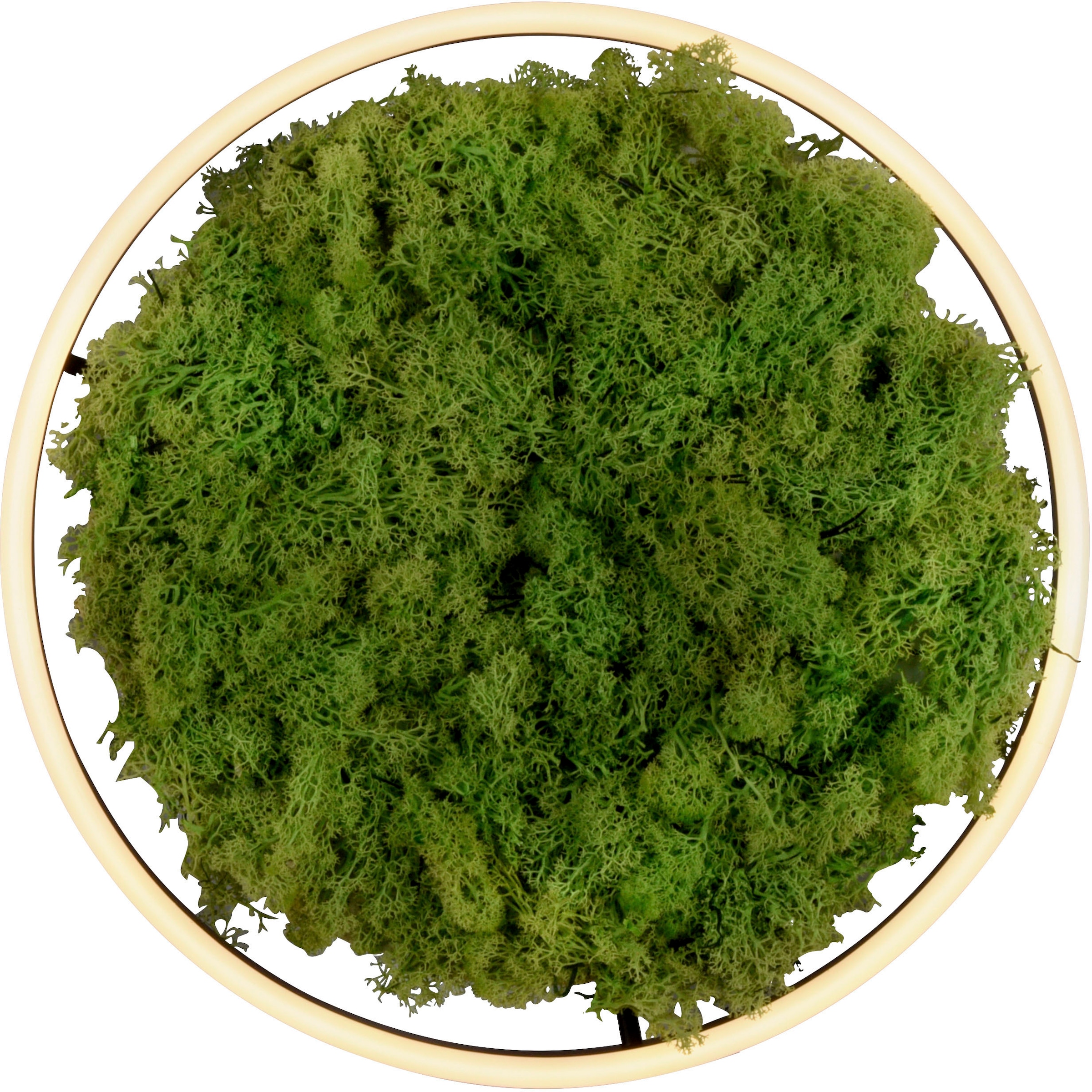JUST LIGHT Deckenleuchte »GREEN RITU«, 1 flammig, Leuchtmittel LED-Board | LED fest integriert