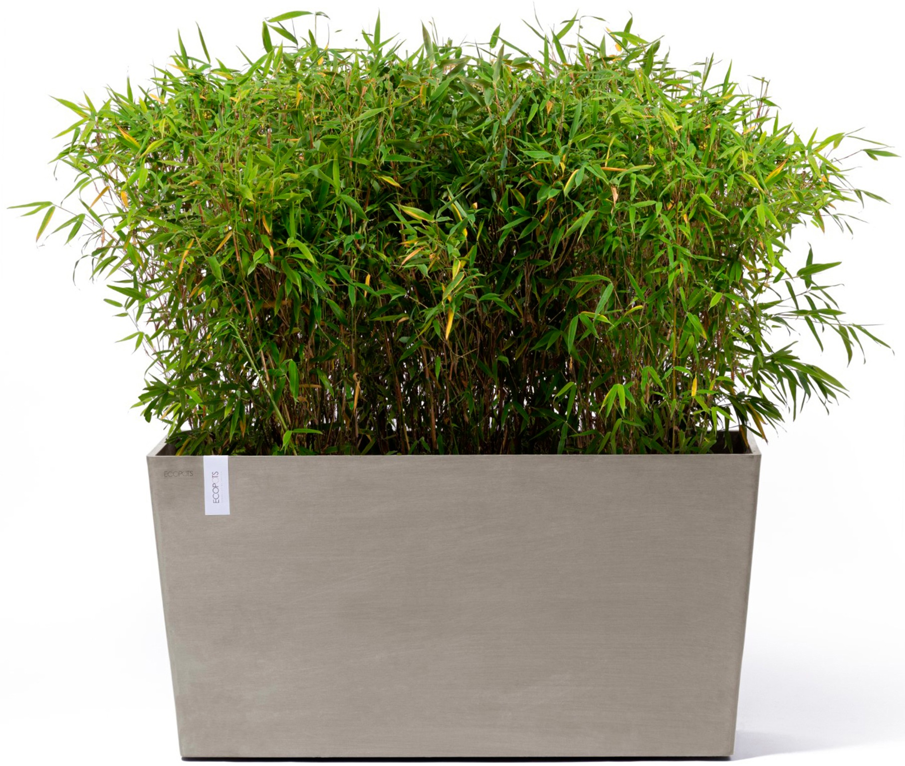 ECOPOTS Blumentopf »Paris mit Rollen 100 Taupe«, für den Außenbereich: frostsicher, bruchsicher und lichtbeständig