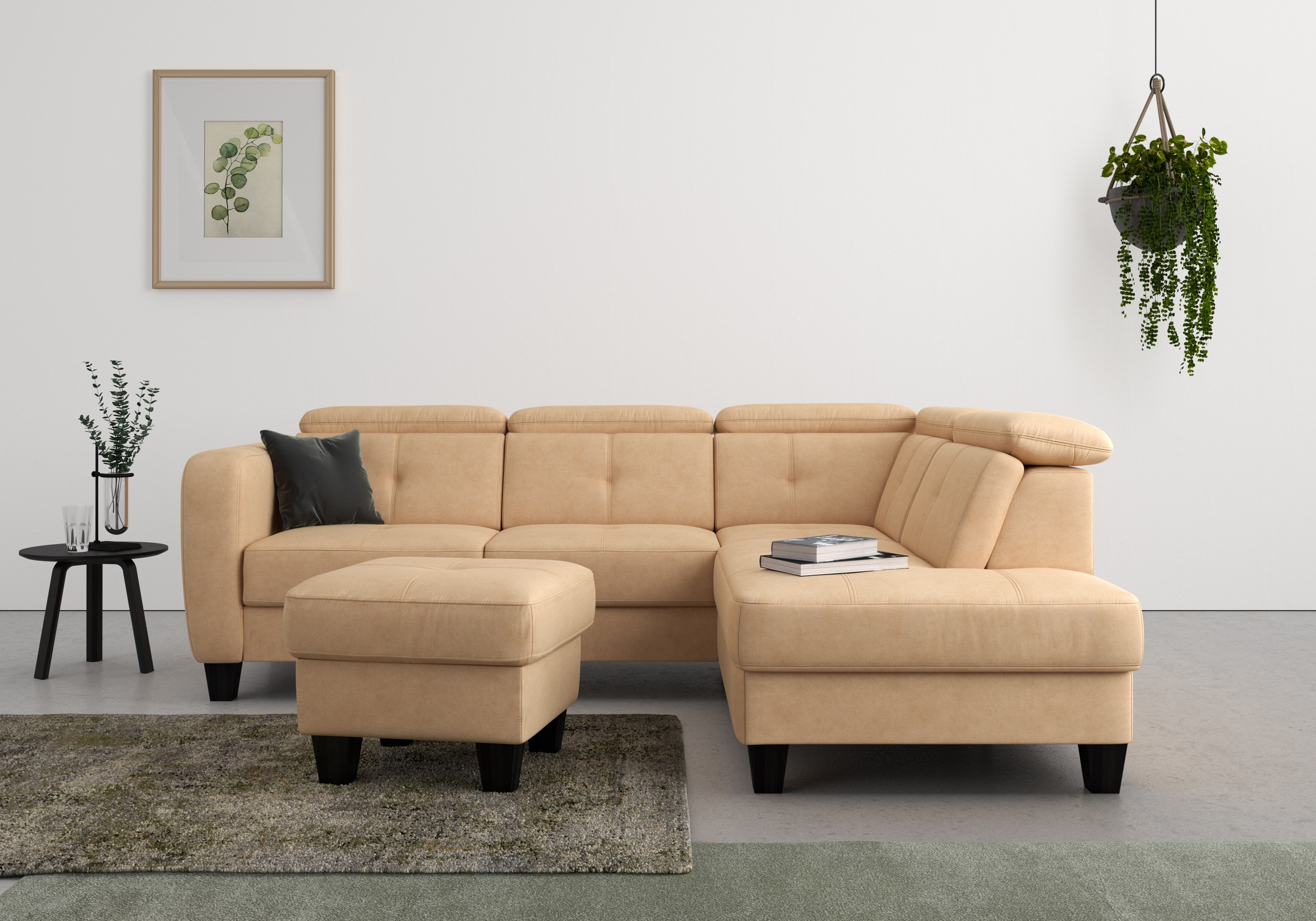 sit&more Ecksofa »Belluci L-Form«, inklusive Federkern, wahlweise mit Bettfunktion und Bettkasten