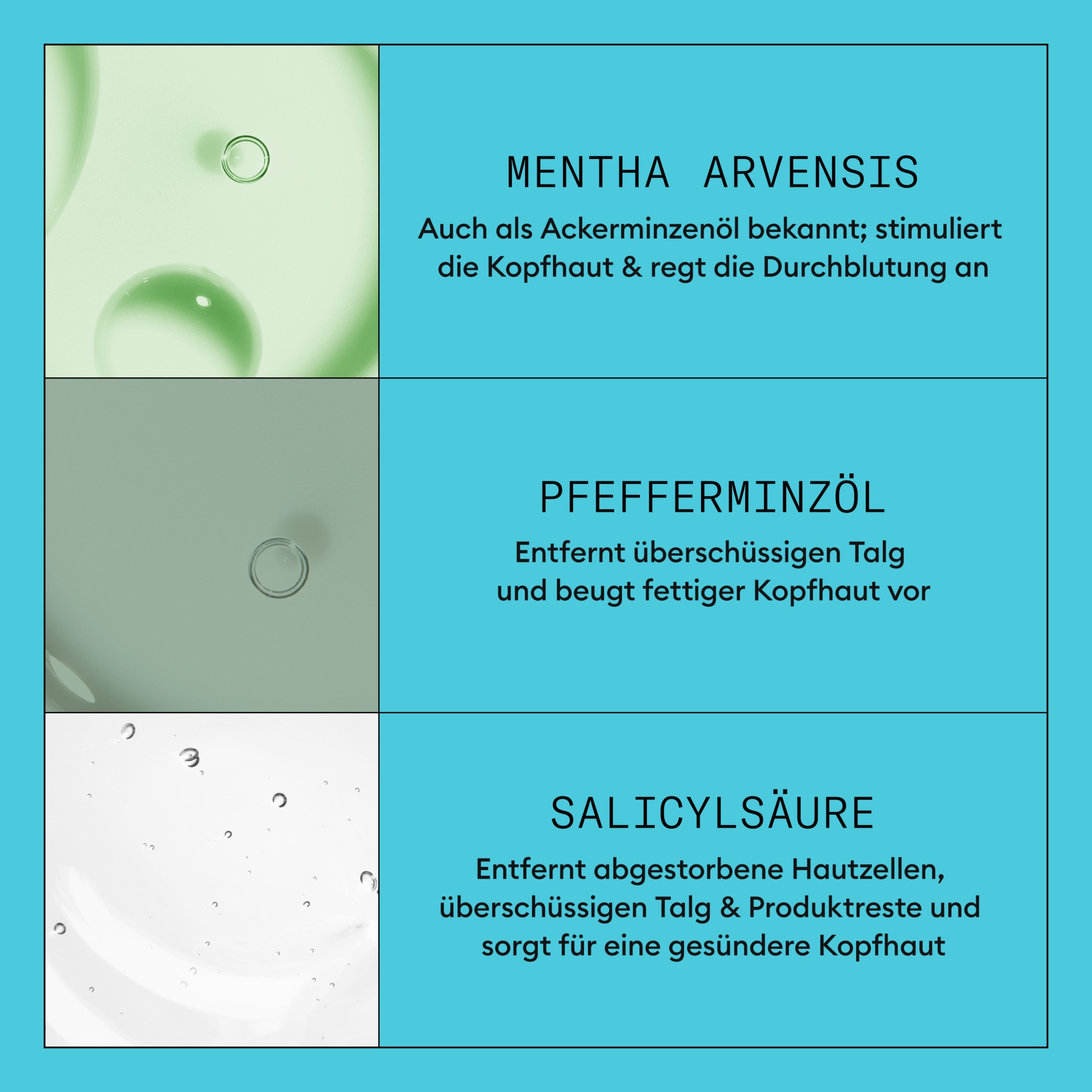 Technaxx Überwachungskamera »Easy Security Camera Set« Außenbereich mehr Volumen, schützt vor Haarbruch, voller wirkendes Haar