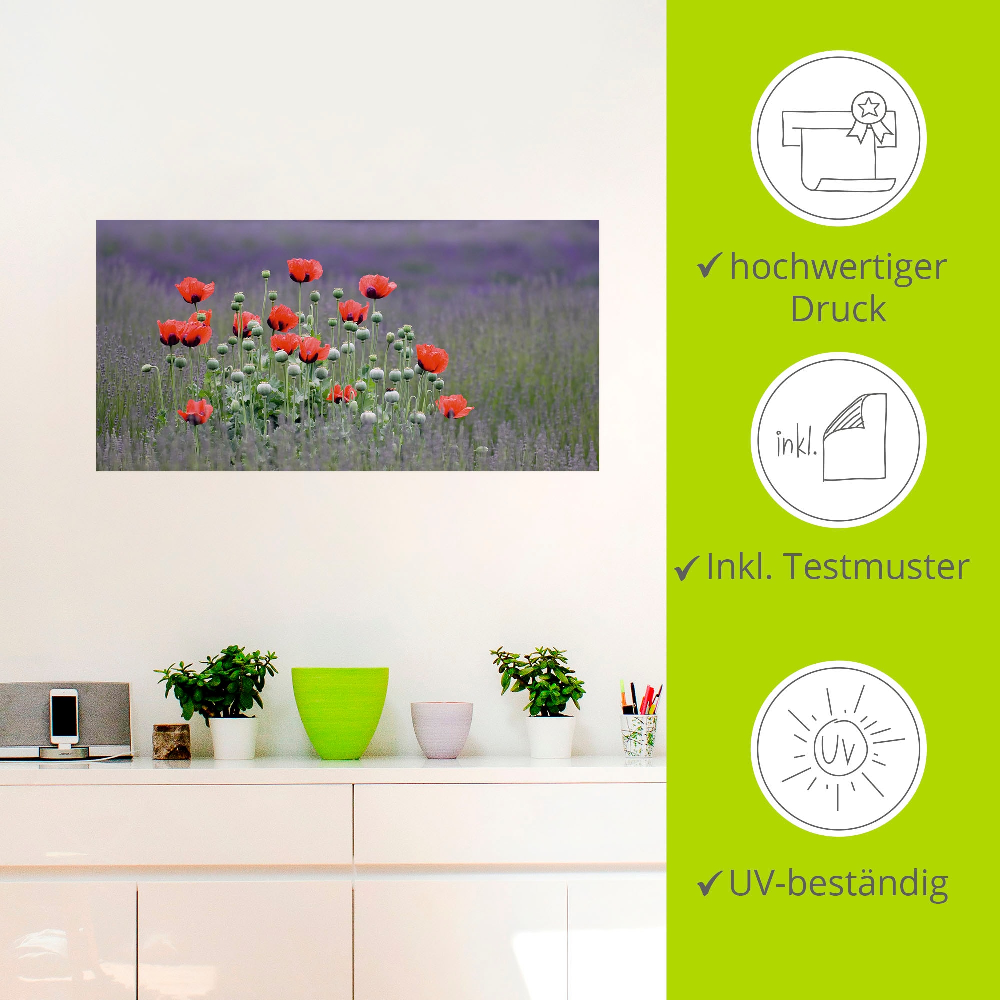 Artland Wandbild »Lavendelfarm in Sequim - Mohnblumen«, Blumenwiese, (1 St.), als Leinwandbild, Poster, Wandaufkleber in verschied. Größen
