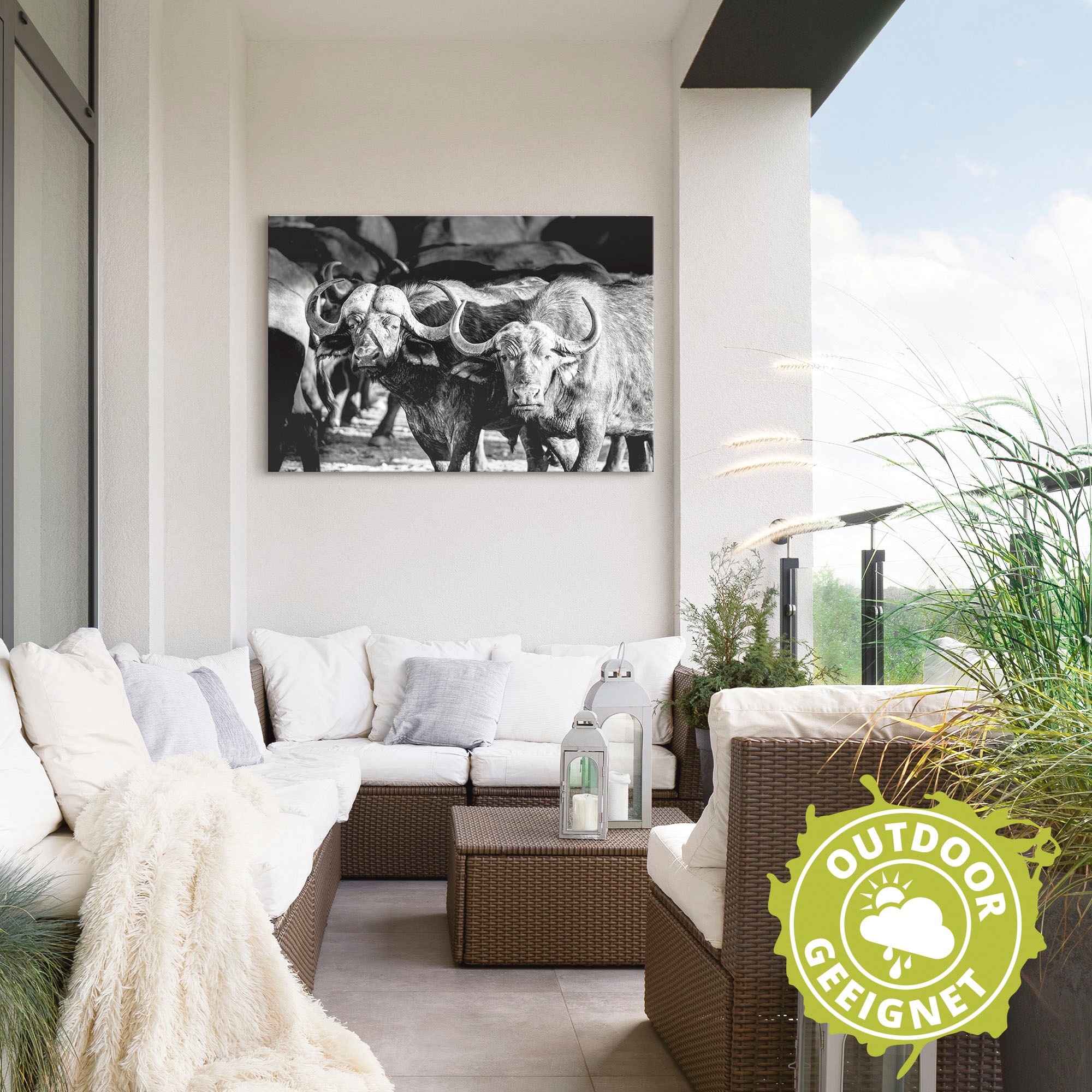 Artland Wandbild »Büffel«, Wildtiere, (1 St.), als Alubild, Leinwandbild, Wandaufkleber oder Poster in versch. Größen