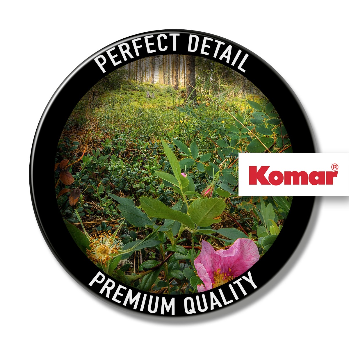 Komar Leinwandbild »Charming Woods - Größe 60 x 40 cm«, Baum-Blätter-Natur-Berge-Blumen-Foto-Jahreszeiten-Landschaft-Meer-Strand-Palmen, (Packung, 1 St.), Keilrahmenbild mi Echtholzrahmen