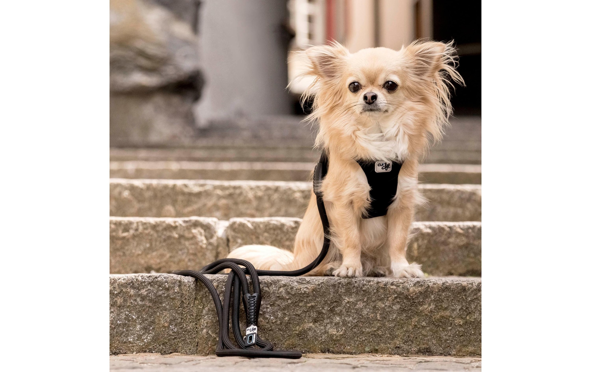 Curli Hundeleine »Comfort Leash pink L«