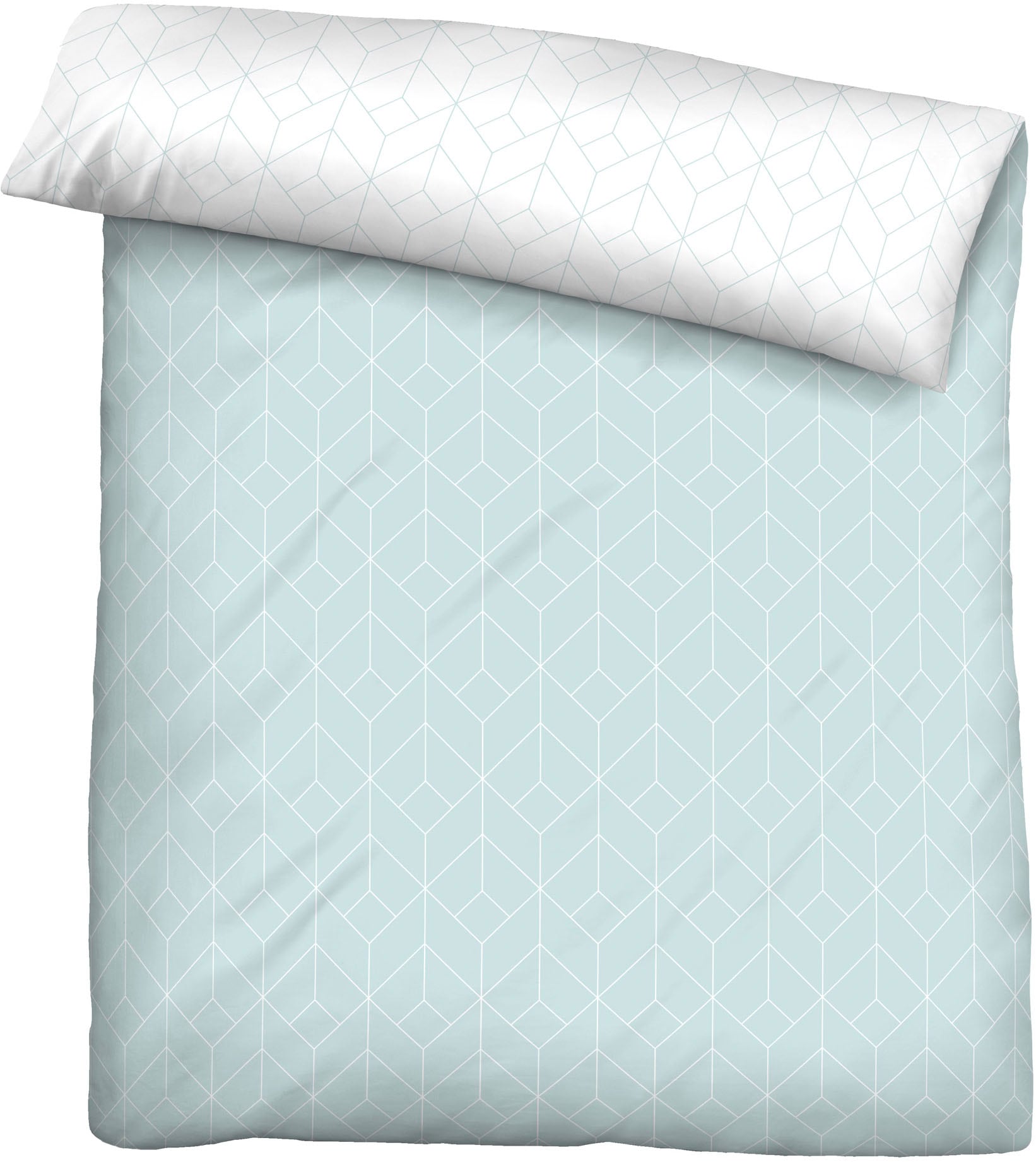 Biberna Bettwäsche »26750« 2 absolut bügelfrei, 100% Baumwolle, mit Reißverschluss, ganzjährig