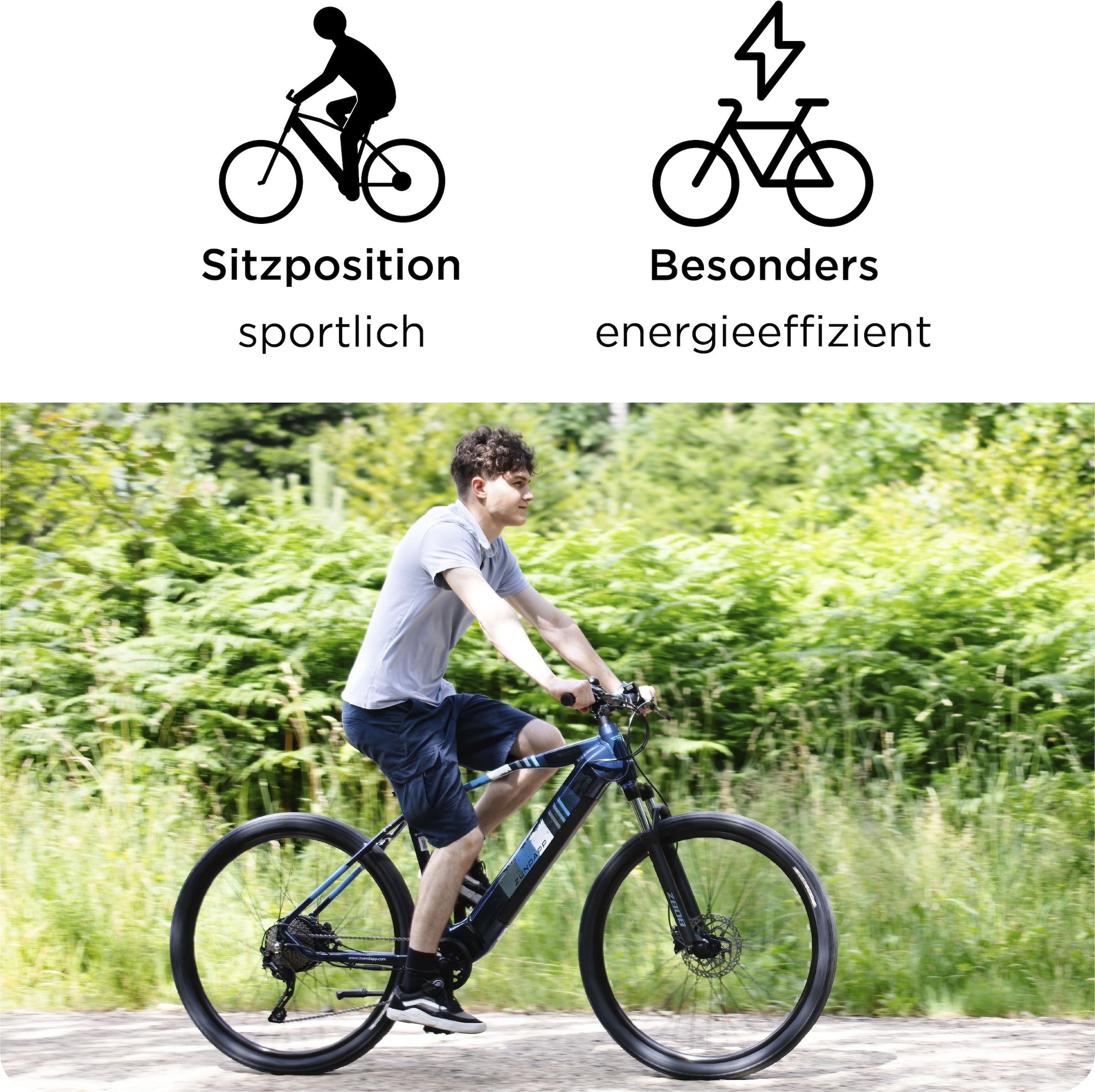 Zündapp E-Bike »Z808«, 10 Gang, Heckmotor 250 W, Pedelec, Elektrofahrrad für Damen u. Herren, MTB