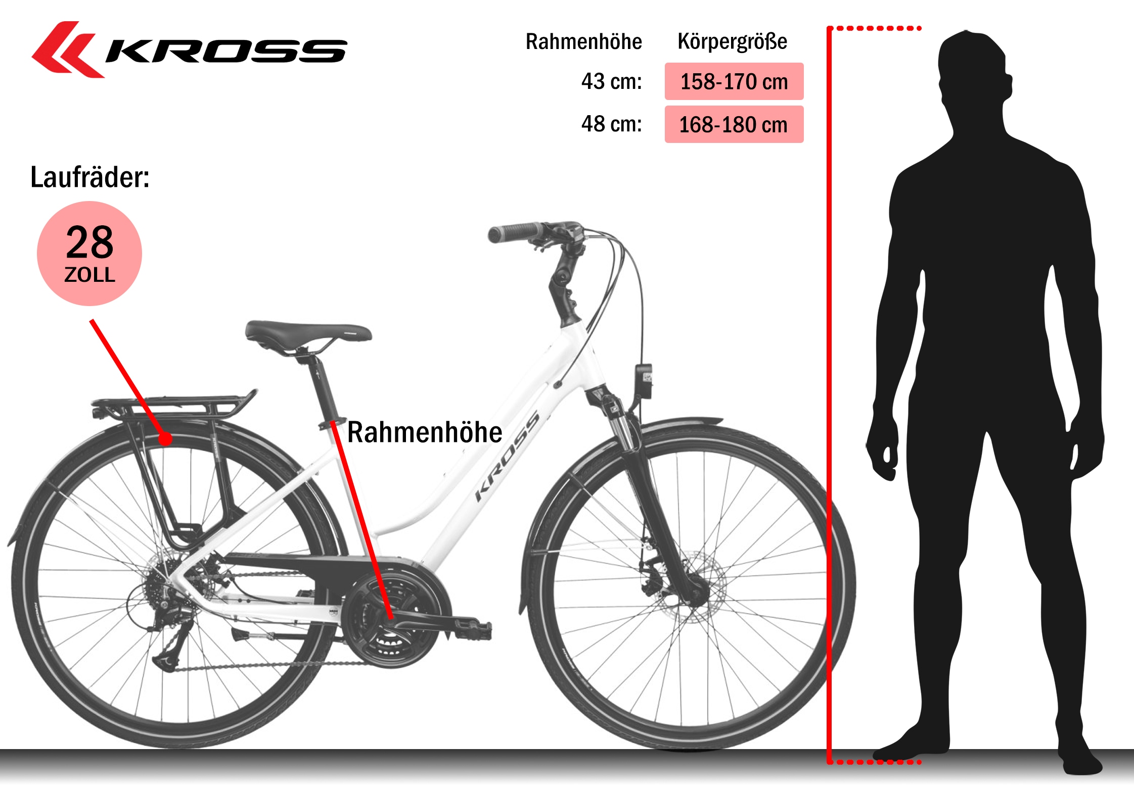 Kross Trekkingrad »Damen-Trekkingrad 28" Trans 3.0 weiß 24 Gänge« 24 Gang Shimano ACERA M3020 Schaltwerk Kettenschaltung KROSS Damen-Trekkingrad 28" Trans 3.0 weiß 24 Gänge