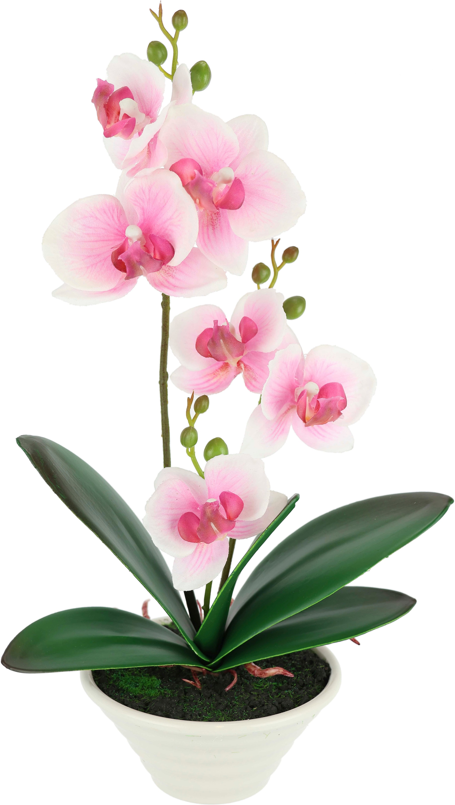 I.GE.A. Kunstblume »Kunstorchidee im Topf« 30cm künstliche Orchidee mit Blüten Phalaenopsis Kunstpflanze Pflanze