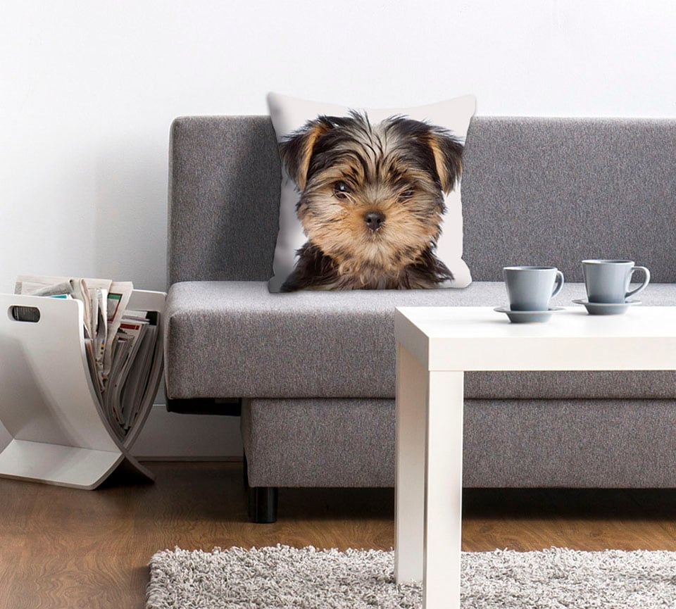 queence Dekokissen »Ines«, Kissenhülle,Hund,Süß,Tiermotiv,Niedlich,Verspiel günstig online kaufen