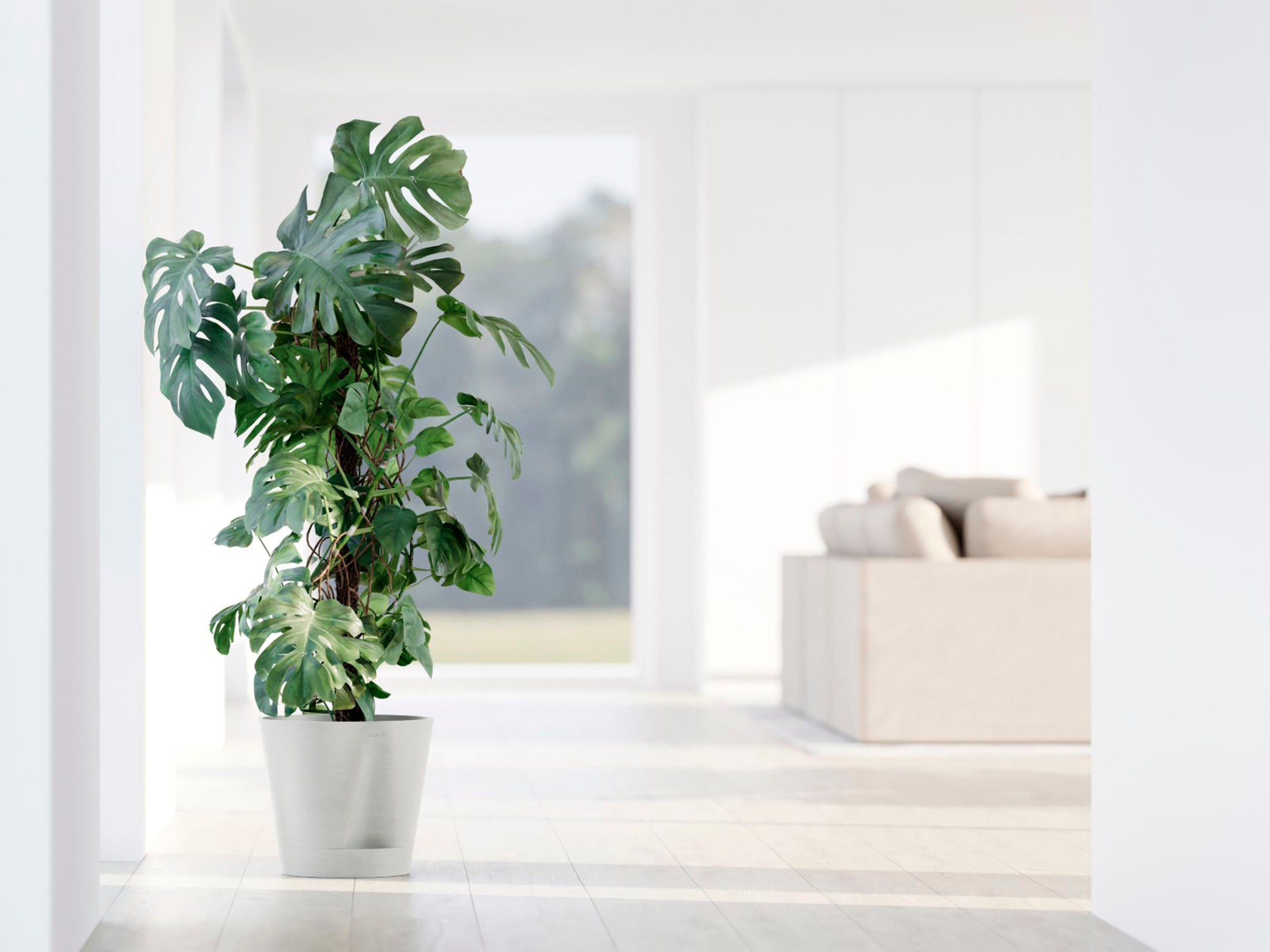 ECOPOTS Blumentopf »Venice 2 30 Weiß«, für den Innenbereich
