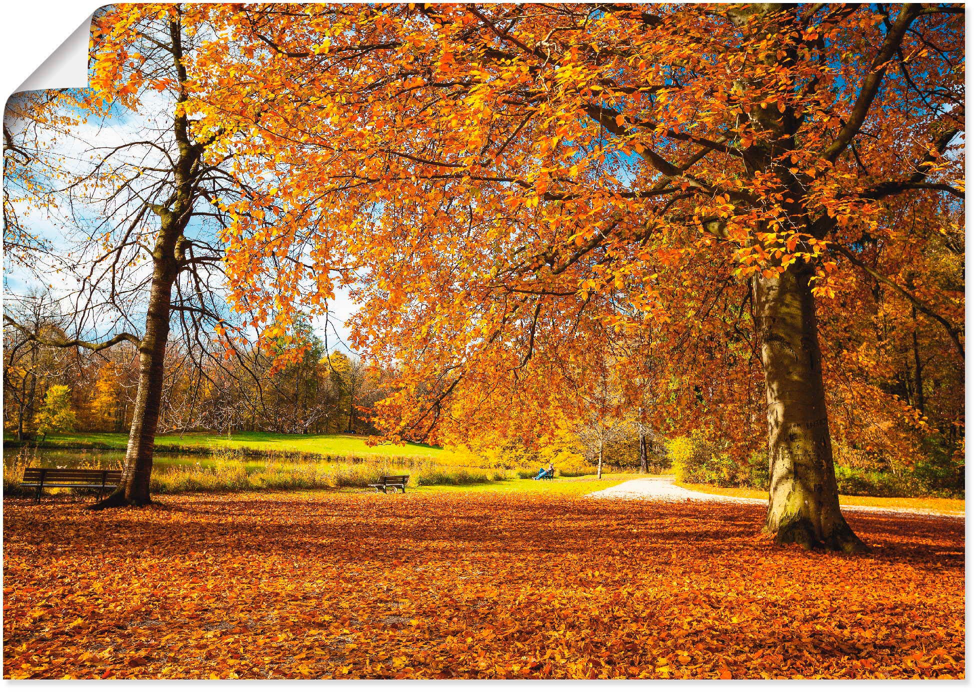 Artland Wandbild »Herbst bei Schlosses Nymphenburg«, Wiesen & Bäume, (1 St. günstig online kaufen