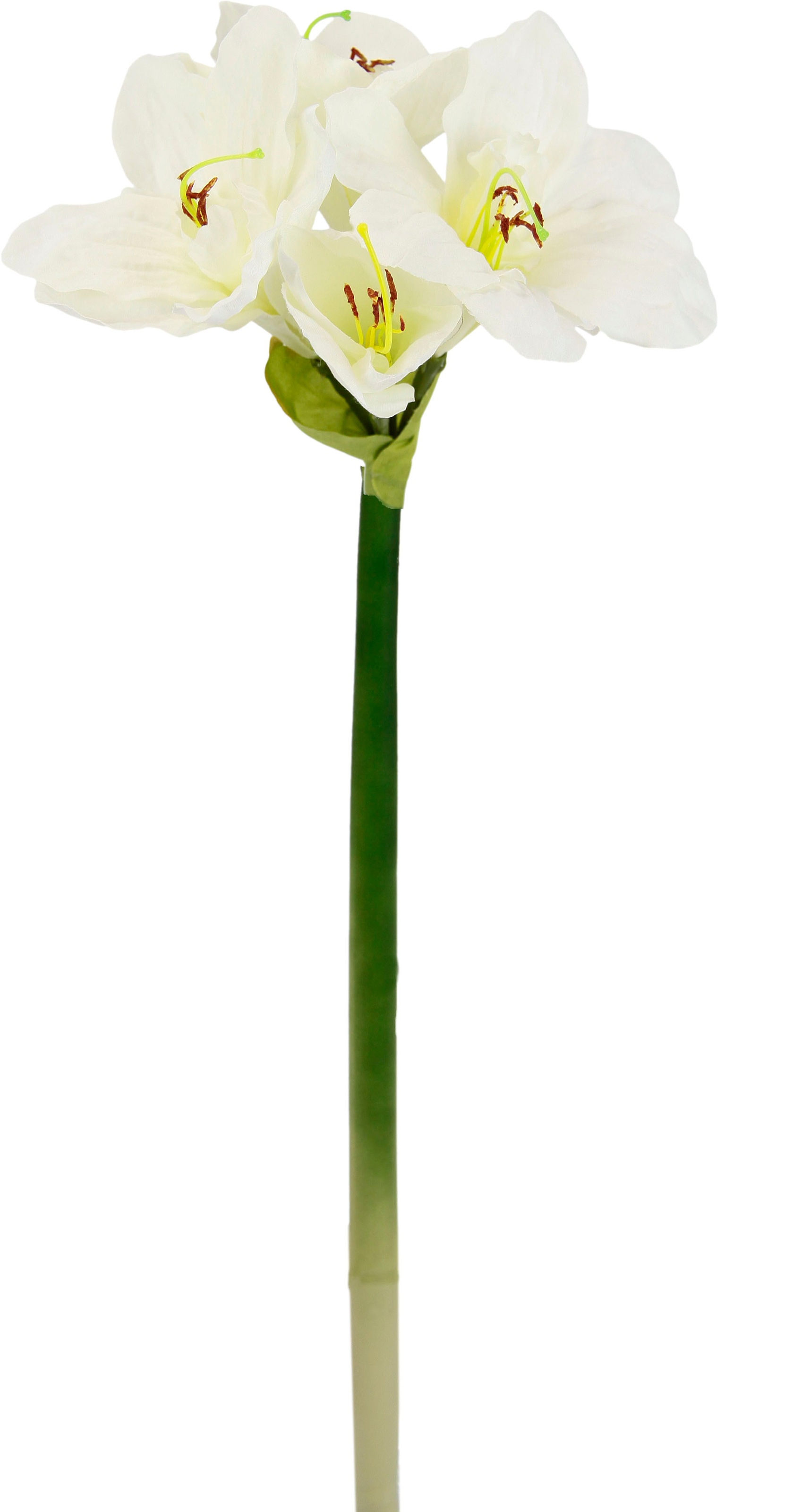 I.GE.A. Kunstblume »Amaryllis«, Kunst-Stielblume, 3er Set