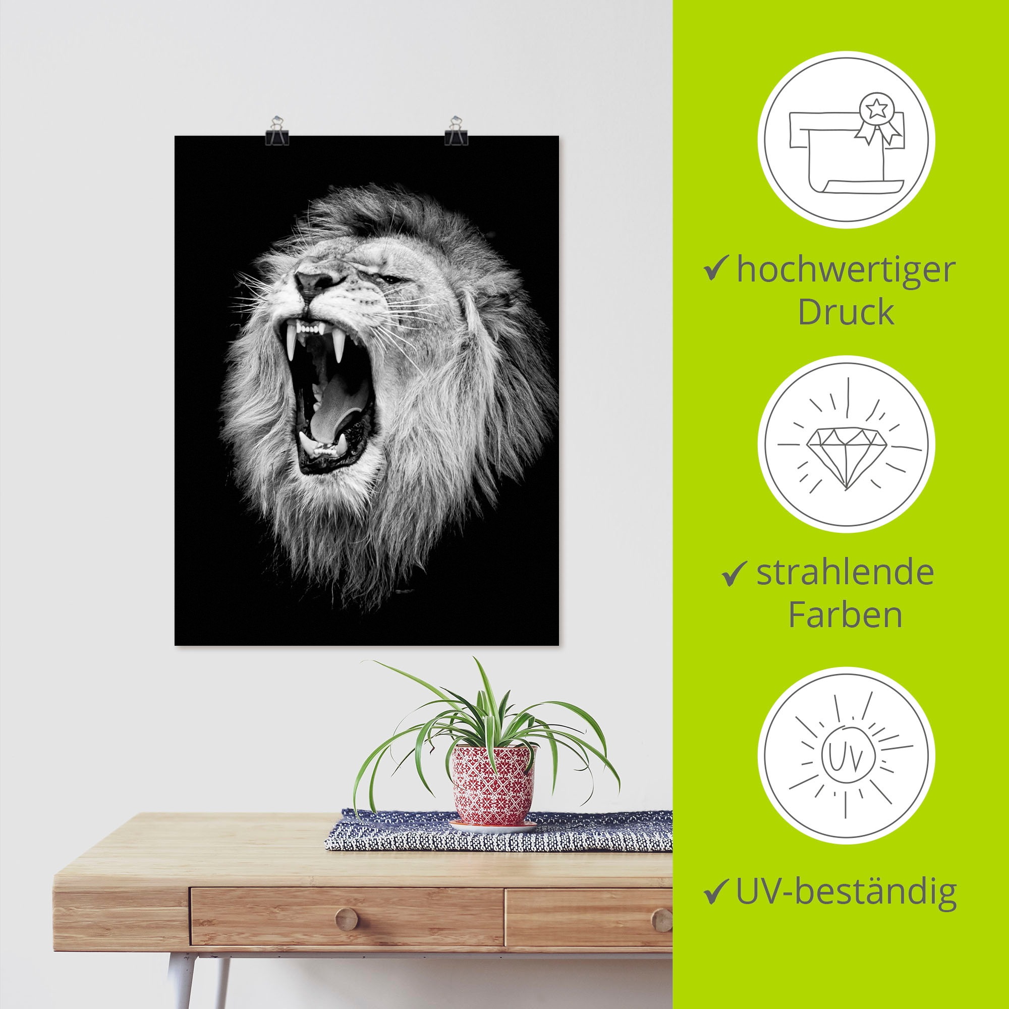 Artland Wandbild »Der Löwe«, Wildtiere, (1 St.), als Alubild, Outdoorbild, Leinwandbild, Poster, Wandaufkleber