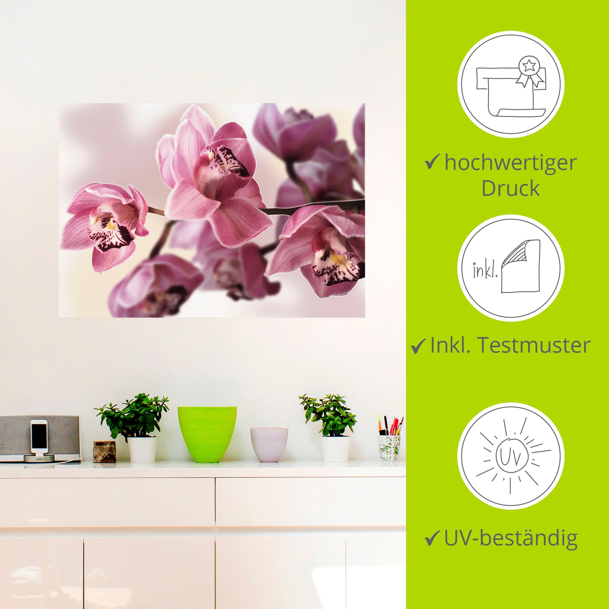 Artland Wandbild »Rosa Orchidee«, Blumenbilder, (1 St.), als Alubild, Outdoorbild, Leinwandbild, Poster, Wandaufkleber