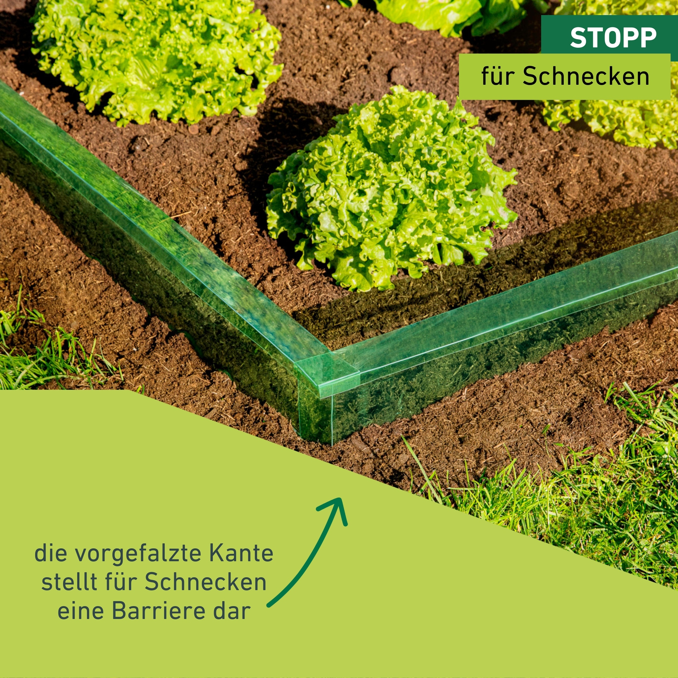 Windhager Schneckenkante »aus PET, Schneckenbarriere 20 cm x 8 m« Schneckenschutz für Beete, wiederverwendbar und recyclebar, grün