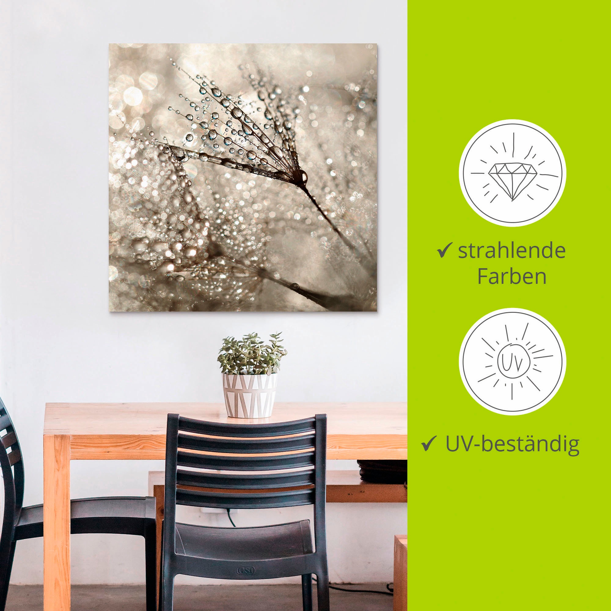Artland Wandbild »Pusteblume Tautropfen«, Blumen, (1 St.), als Alubild, Outdoorbild, Leinwandbild, Poster, Wandaufkleber