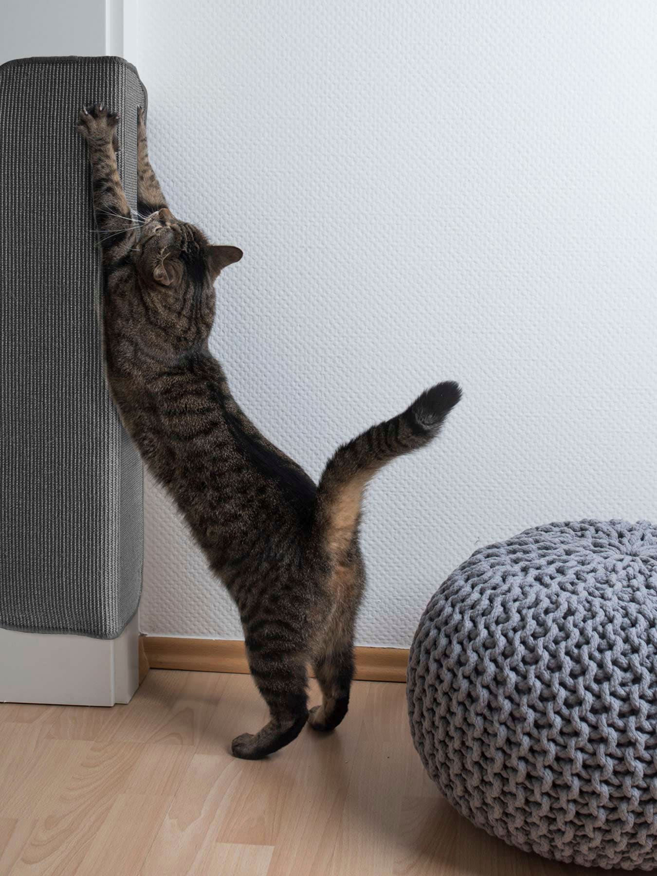 Kratzbrett "Katzen-Kratzmatte SISALLUX, Made in Netherlands", grau, B/H/L: 50cm x 0,6cm x 50cm