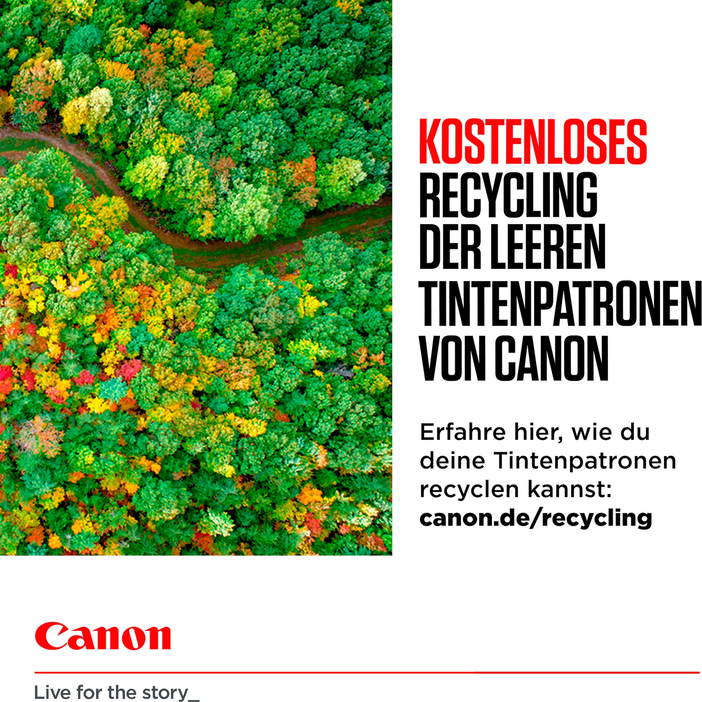 Canon Tintenpatrone »PGI-580BK/CLI-581 BK/C/M/Y Pigment- und Farbstofftinte Multipack«, (Packung, 5 St.)