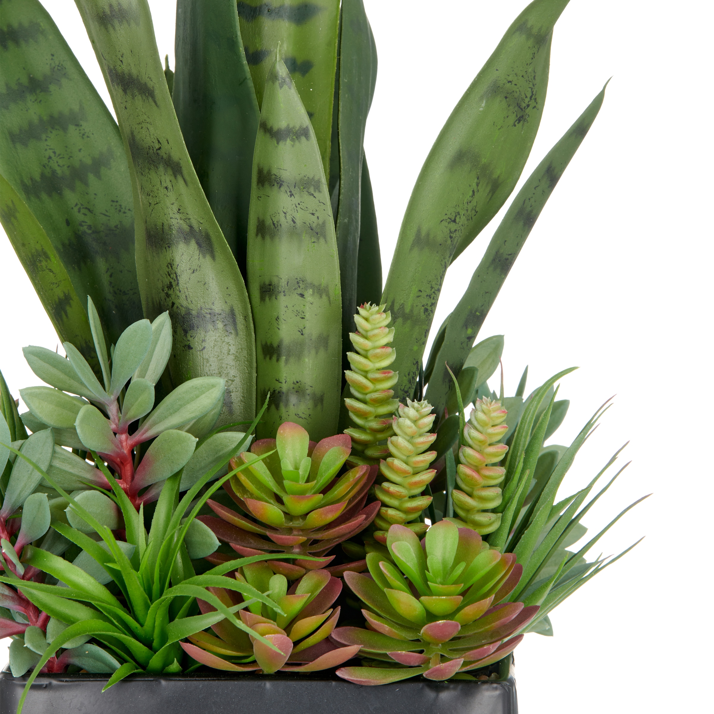 Creativ green Kunstpflanze »Arrangement aus Sukkulenten« mit verschiedenen Sukkulenten
