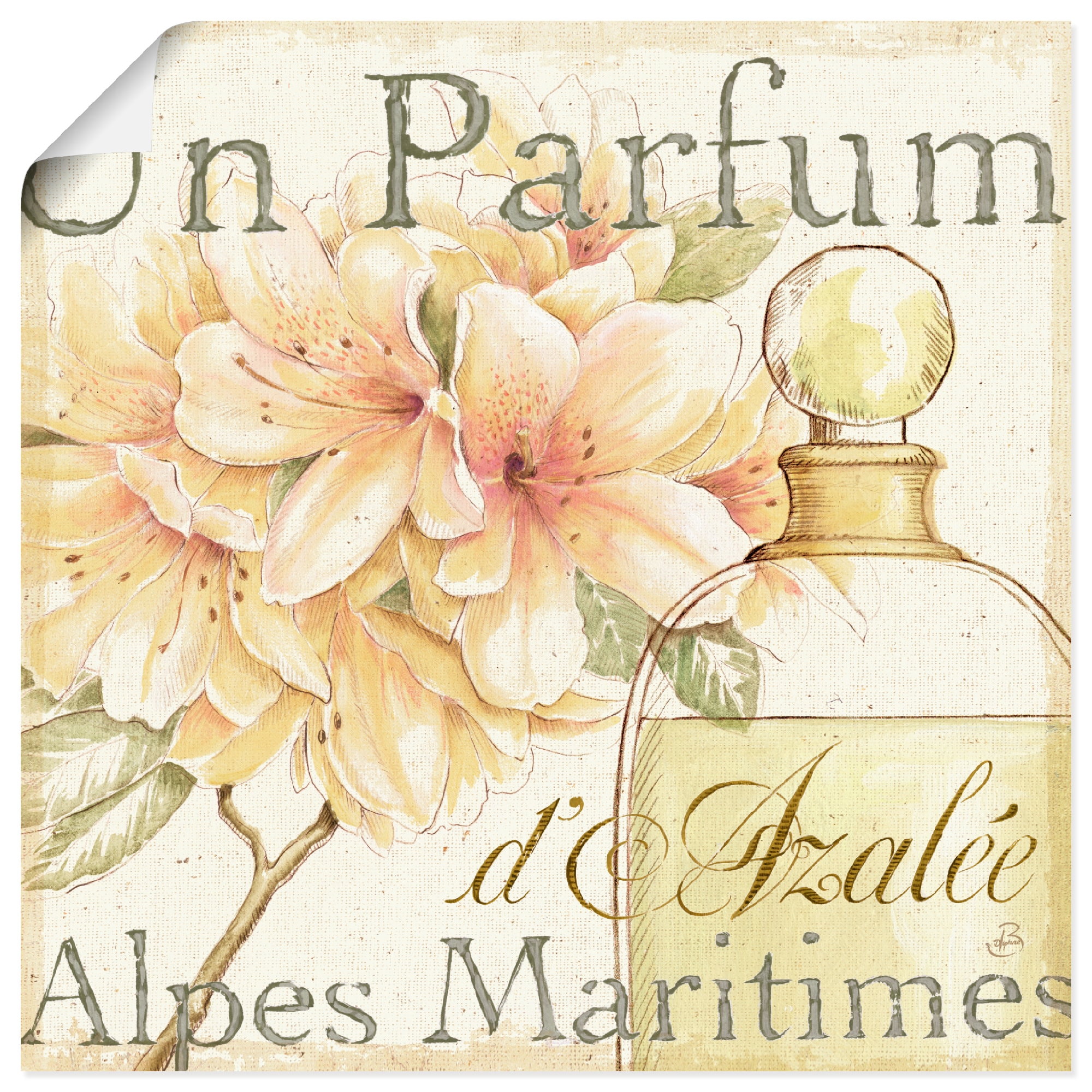 Artland Poster »Blumen und Parfum III«, Schilder, (1 St.), als Leinwandbild, Wandaufkleber oder Poster in versch. Größen