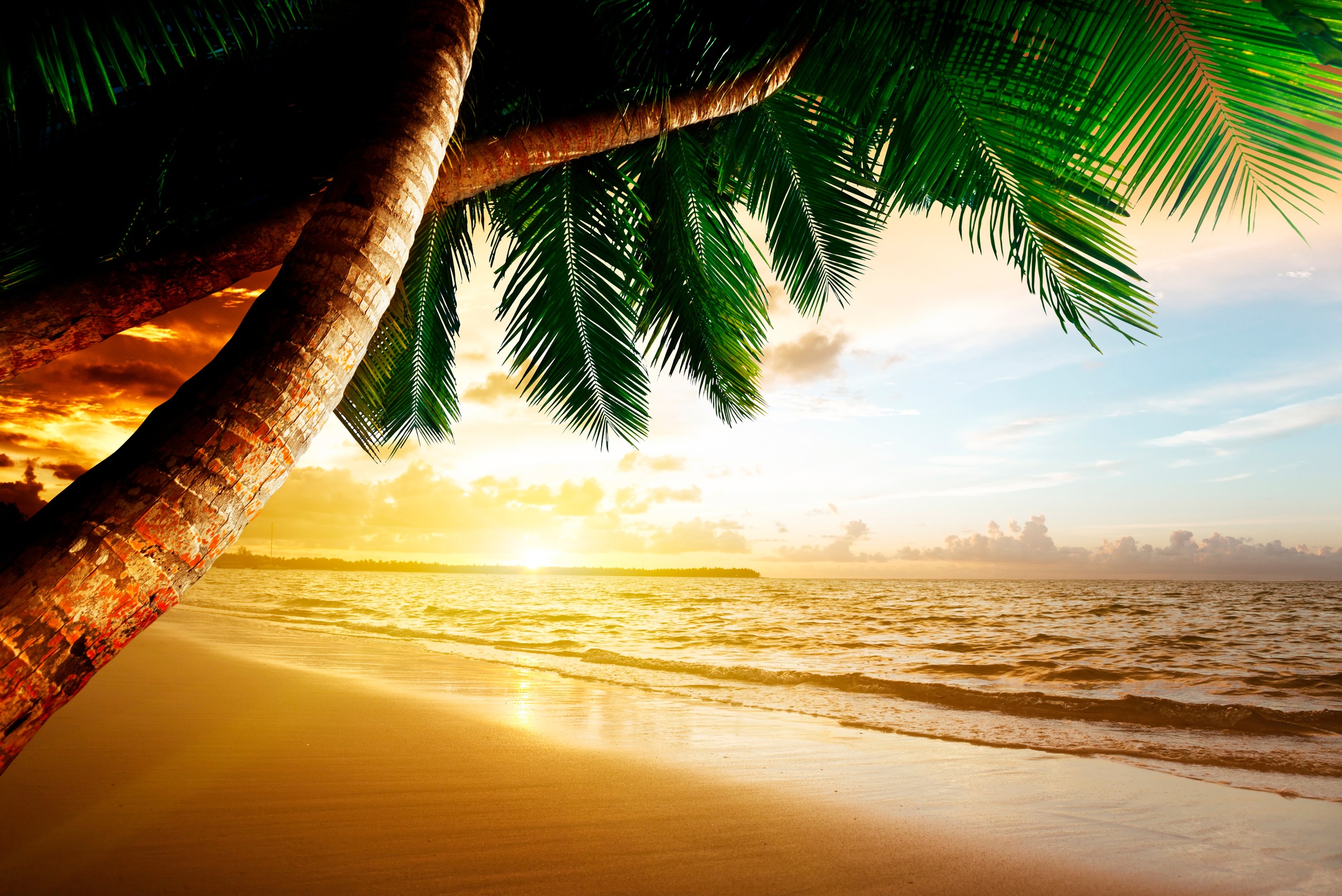Papermoon Fototapete »Caribbean Beach Sunrise« glatt günstig online kaufen
