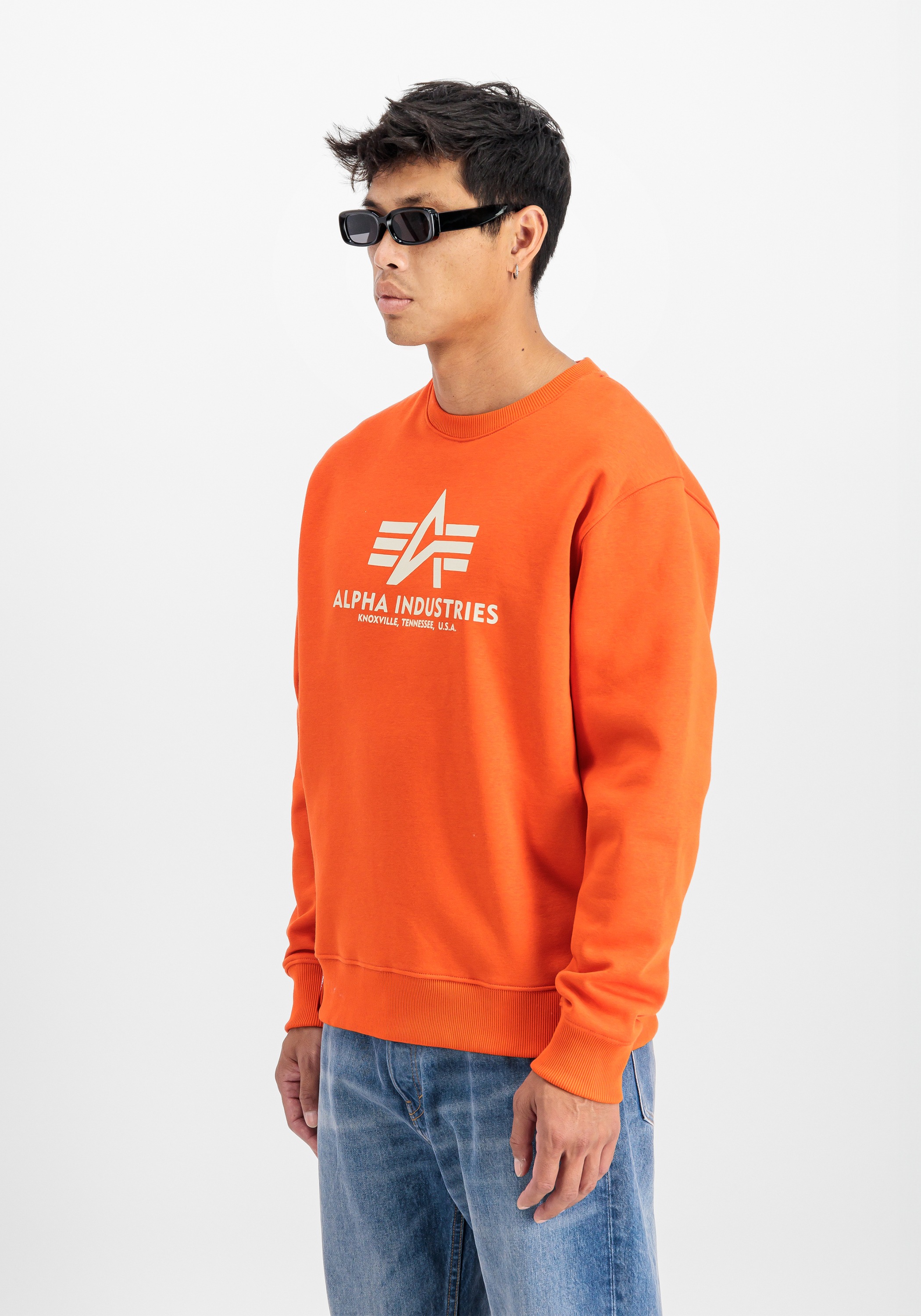 Alpha Industries Sweater »Alpha Industries Men - Sweatshirts Basic Sweater«