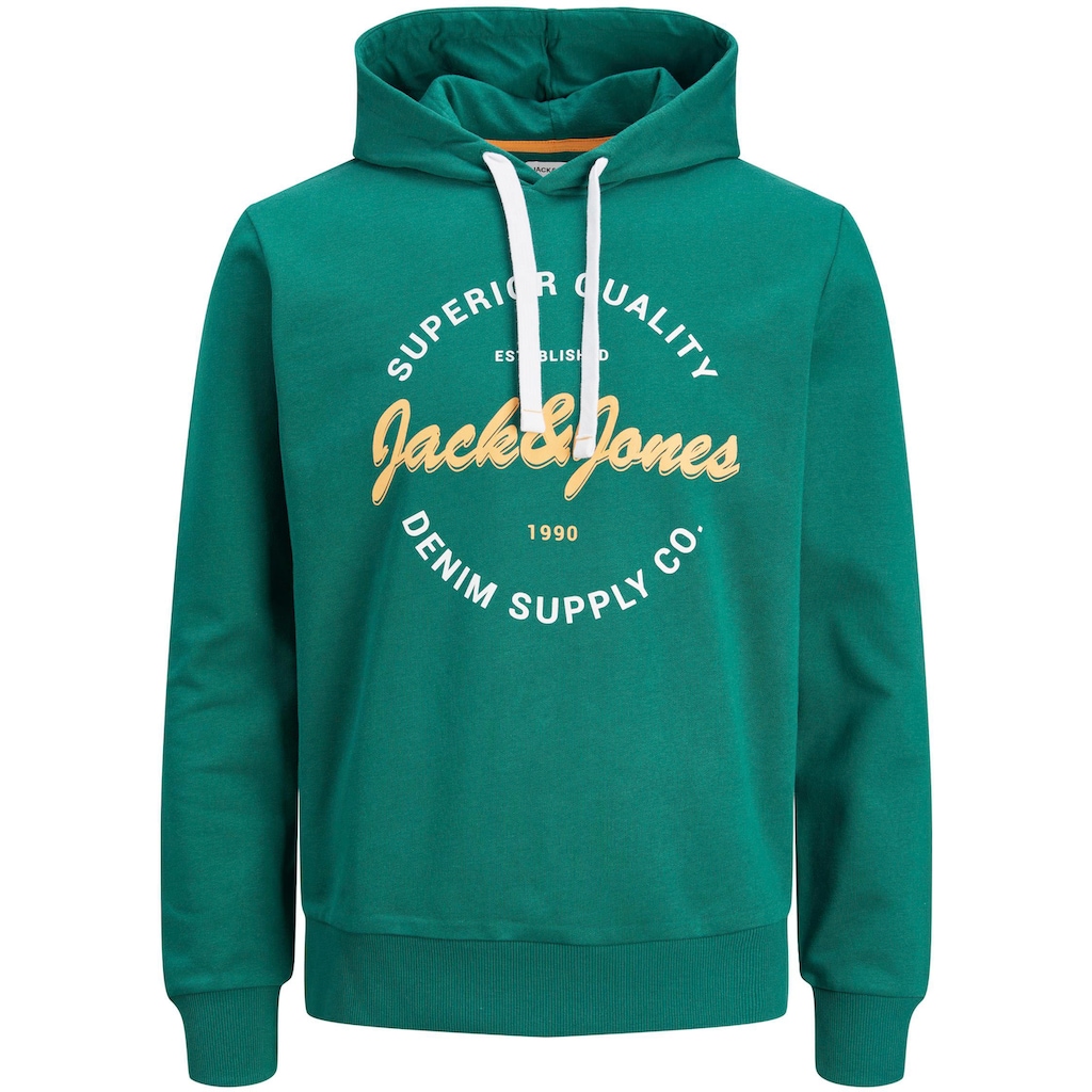 Jack & Jones Kapuzensweatshirt »JJ JJANDY SWEAT HOOD«