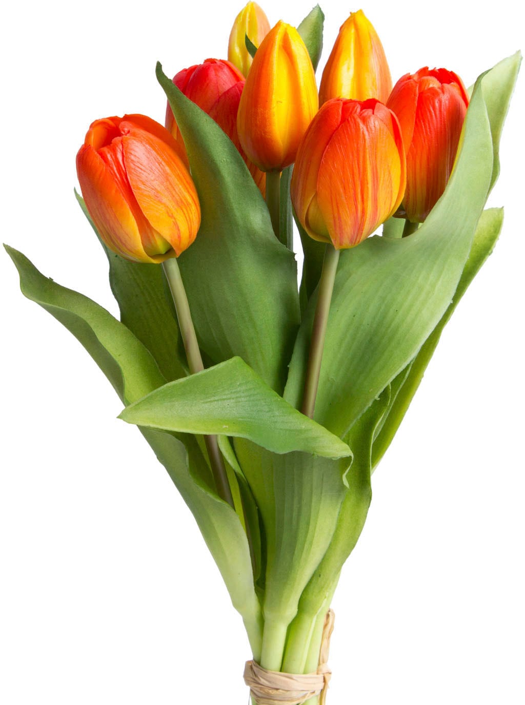 Botanic-Haus Kunstblume »Willa«, Tulpenbündel auf Raten 7er-Set im bestellen