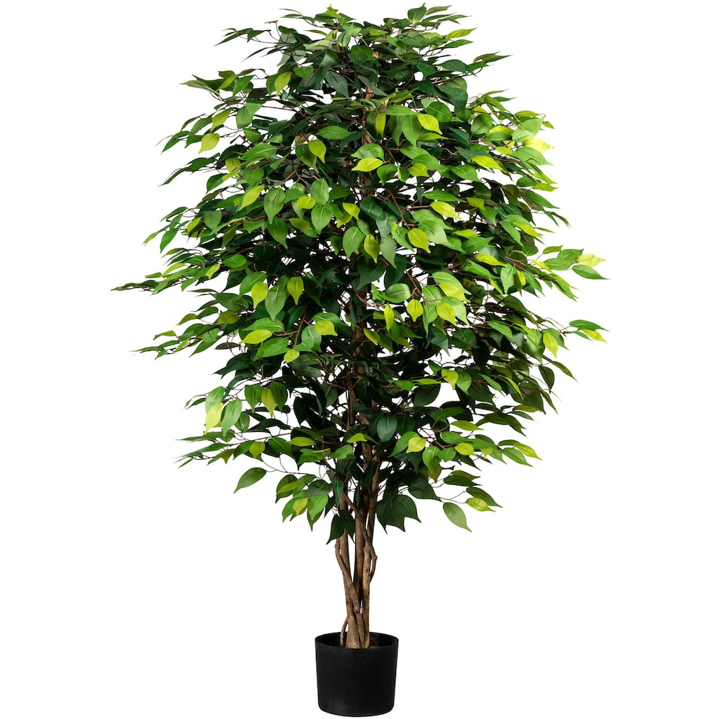 Creativ green Kunstpflanze »Ficus Benjamini«