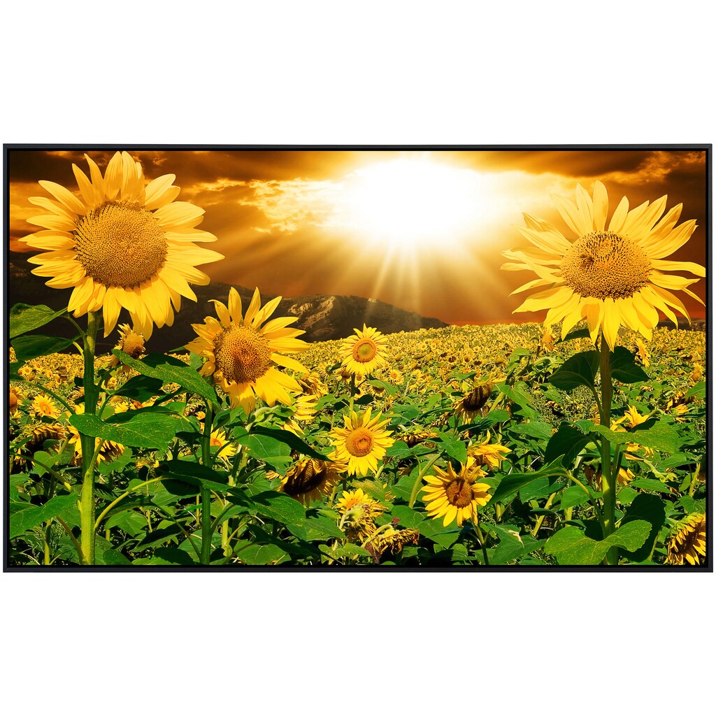 Papermoon Infrarotheizung »Sonnenblumen«