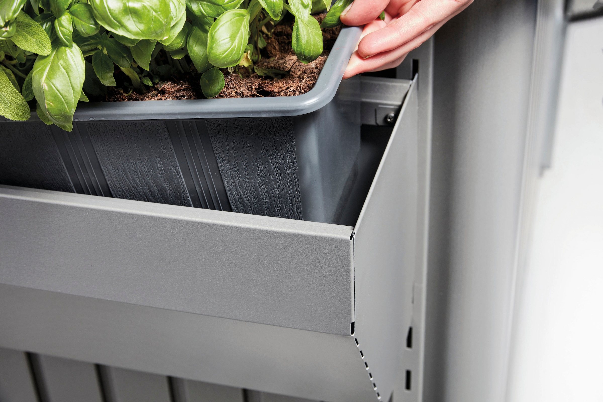 Biohort Blumenkasten »FLORABOARD, verschiedene Farben« 82x25x188 cm