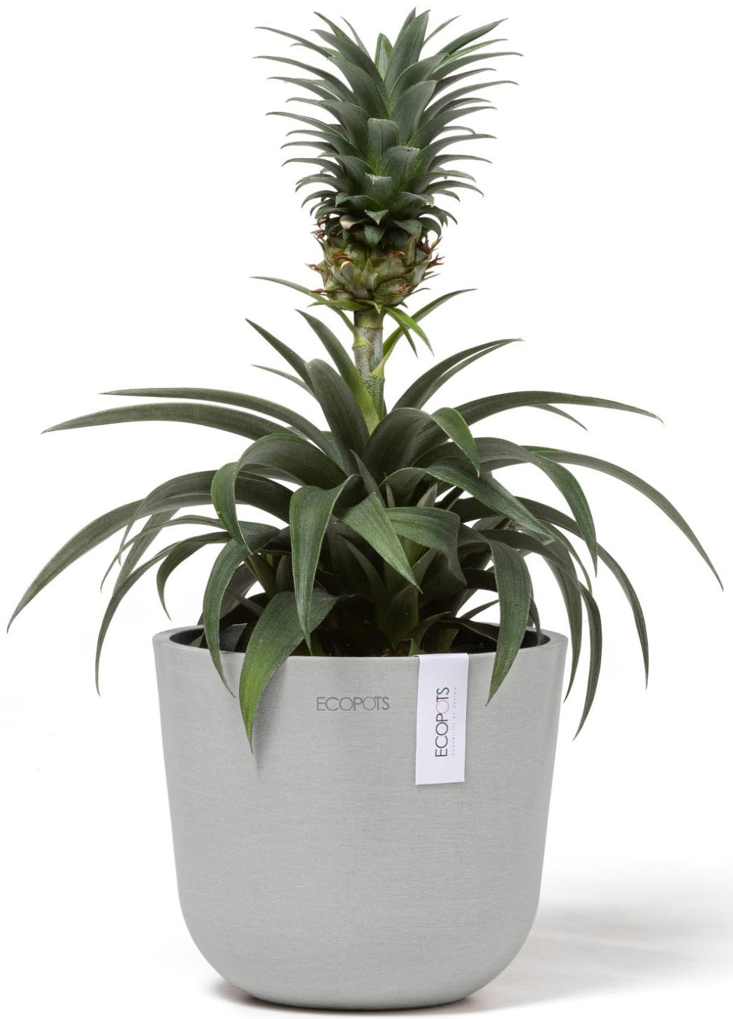 ECOPOTS Blumentopf »Oslo Mini 16 Weißgrau« für den Innenbereich