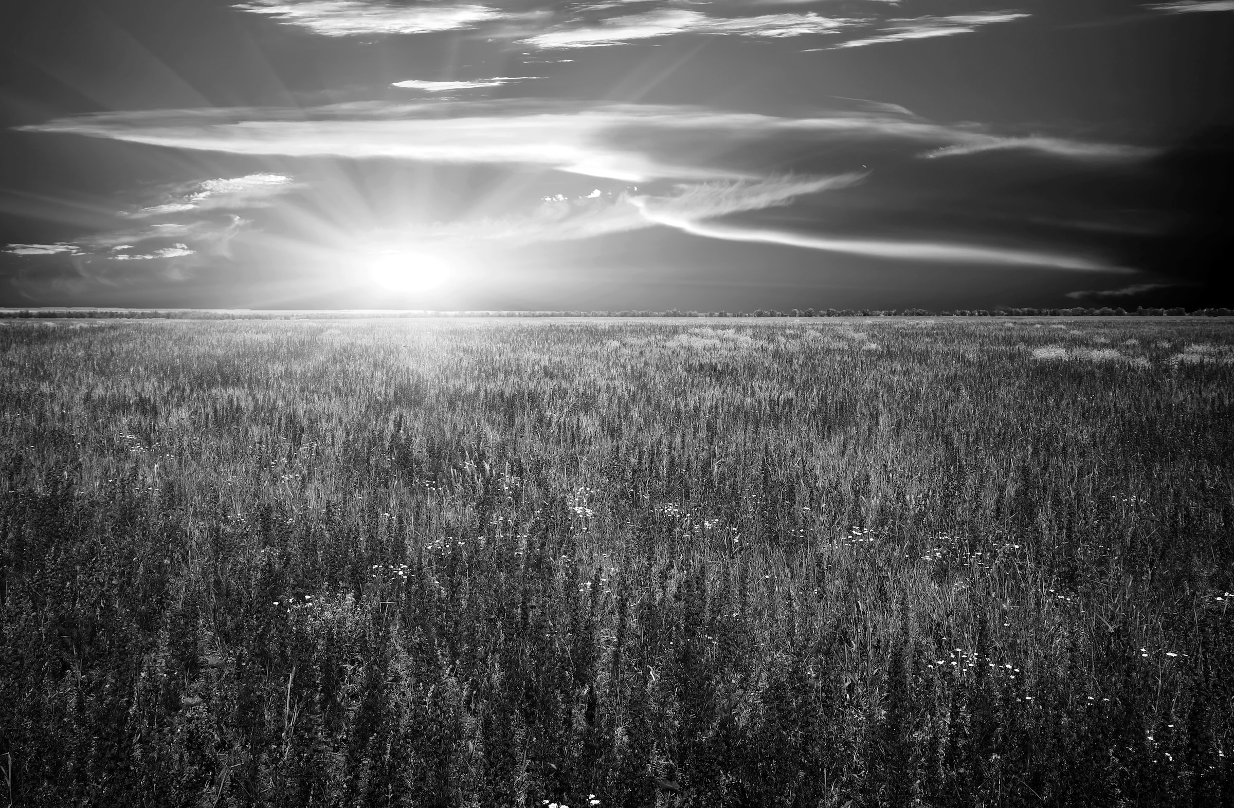 Papermoon Fototapete »Landschaft Schwarz & Weiß« günstig online kaufen