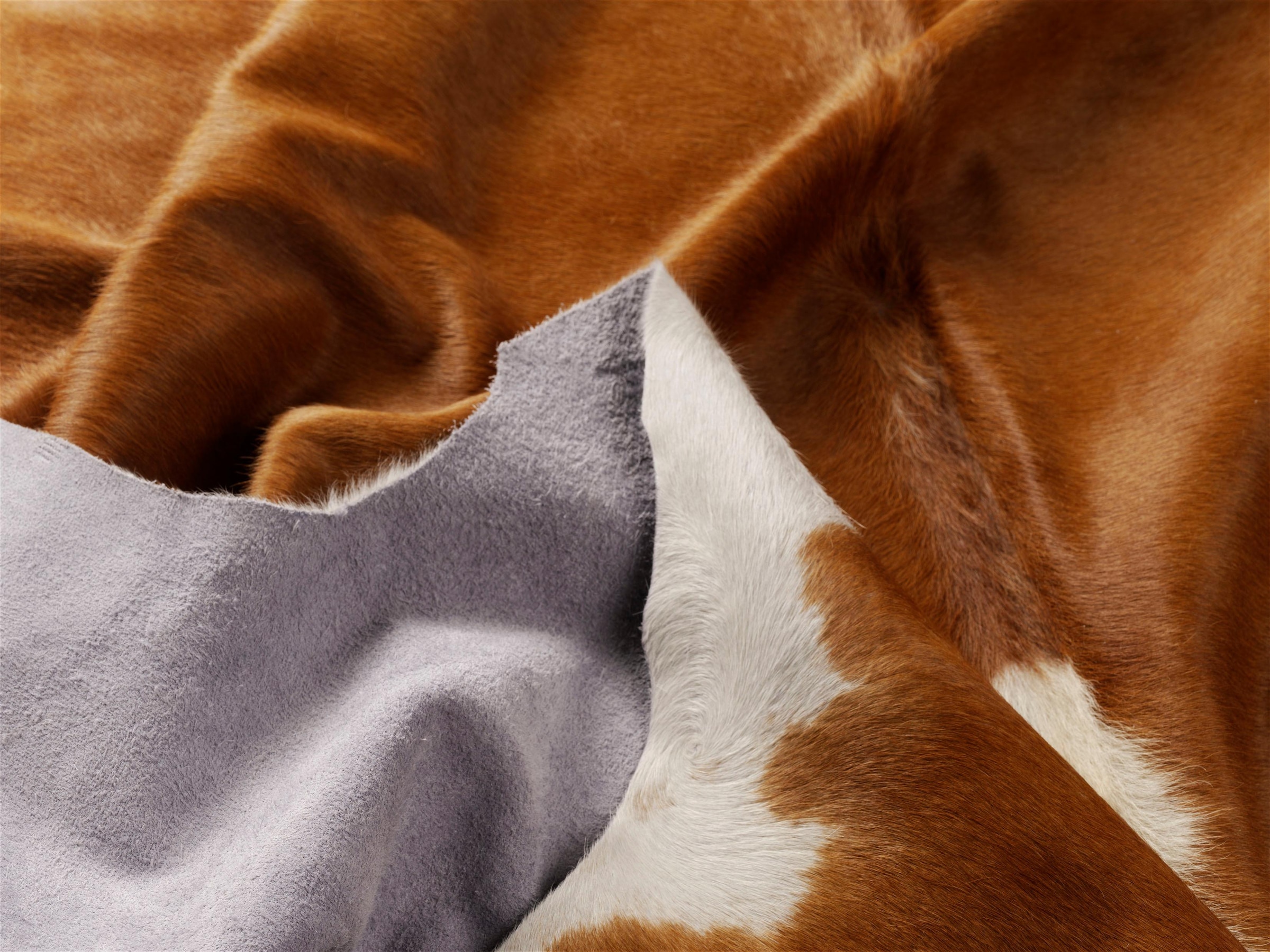 Böing Carpet Fellteppich »Fell Hereford«, fellförmig, 4 mm Höhe, echtes Rinderfell, Naturprodukt, jedes Rinderfell ein Einzelstück