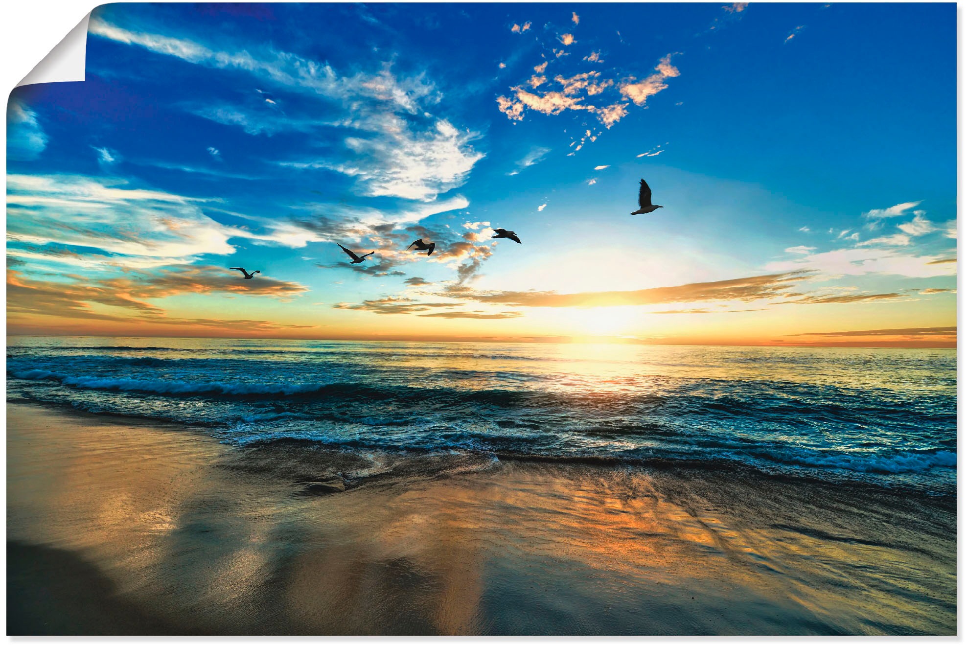 Artland Wandbild »Strand Möwen Meer Sonnenuntergang«, Sonnenaufgang & -unte günstig online kaufen