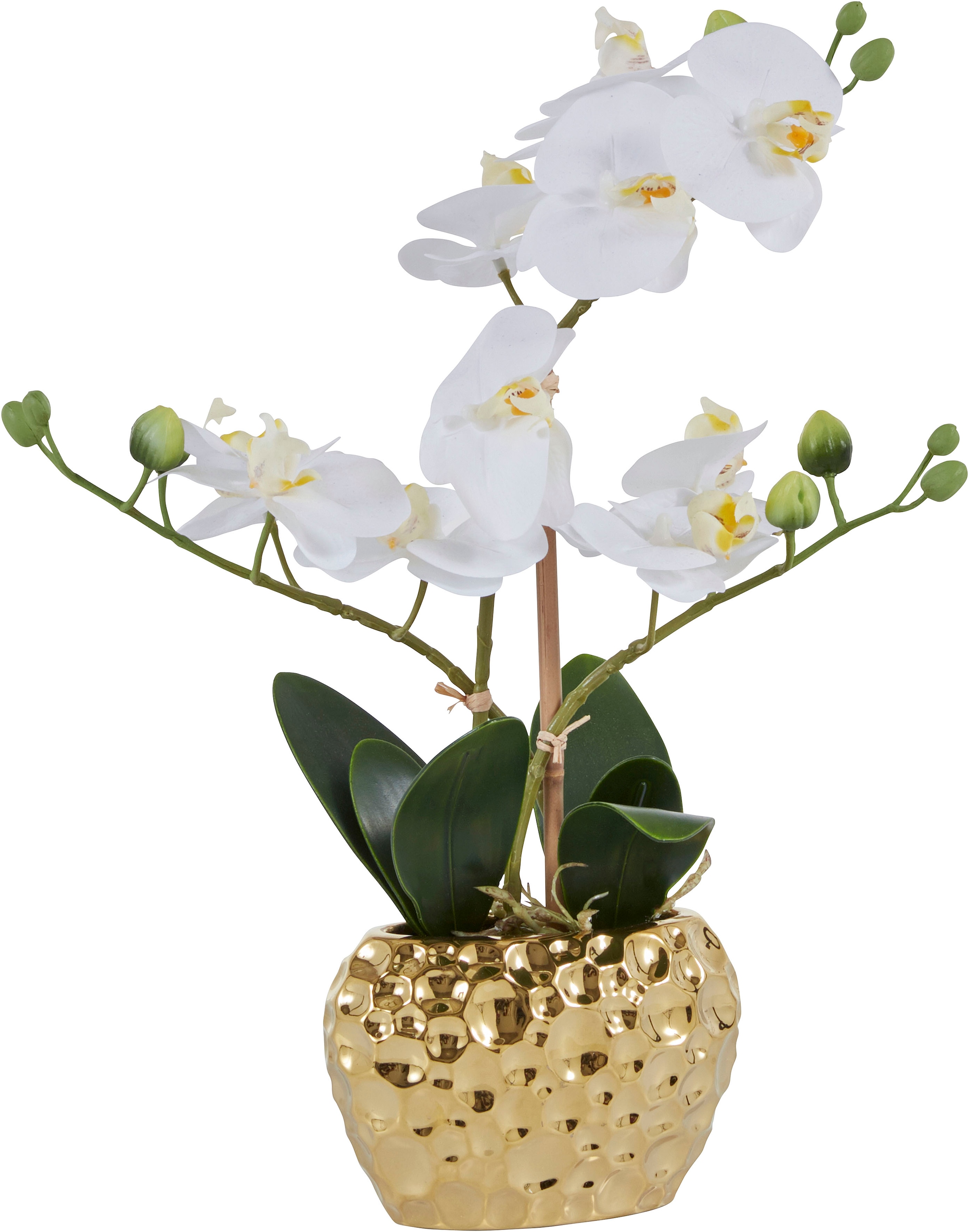 Leonique Kunstpflanze »Orchidee«, Kunstorchidee, im bestellen Rechnung auf Topf