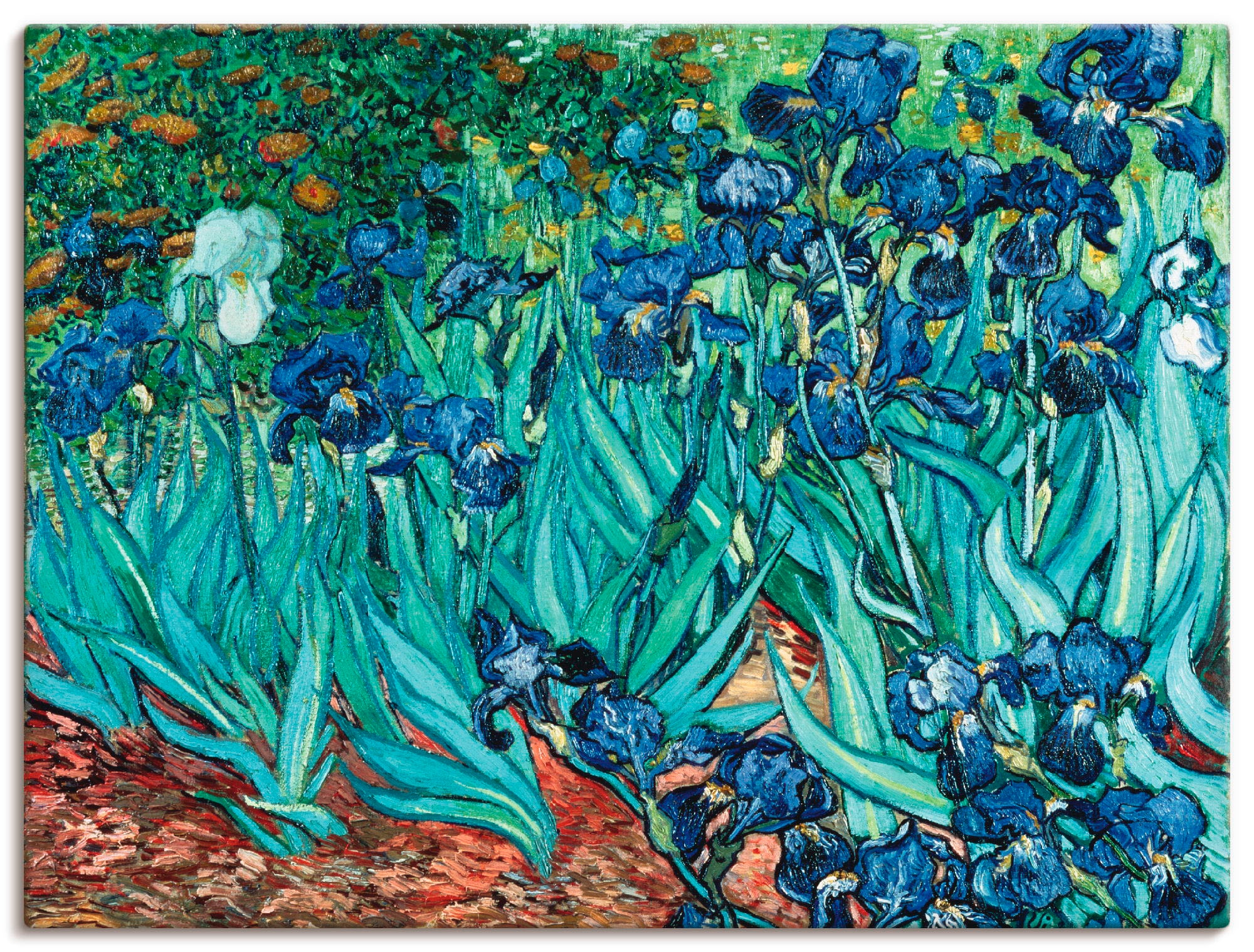 Artland Leinwandbild »Iris (Schwertlilien). 1889« Blumen 1 Stk. tlg. auf Ke günstig online kaufen