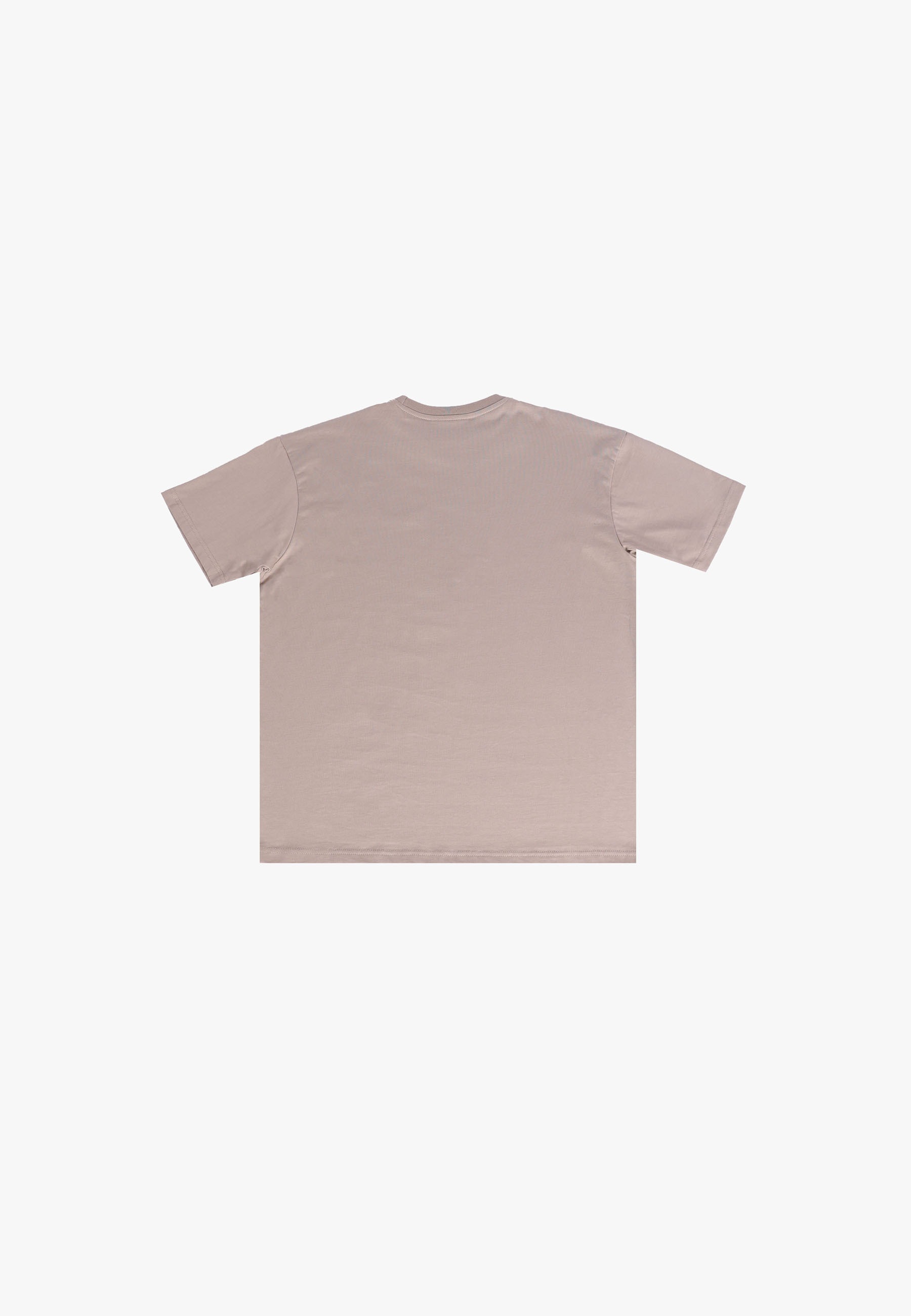 Dropsize T-Shirt »Dropsize REGULAR FIT T-SHIRT« 1 Stk.