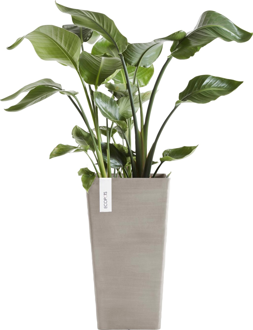 ECOPOTS Blumentopf »ROTTERDAM MID HIGH Taupe« BxTxH: 31x31x56 cm