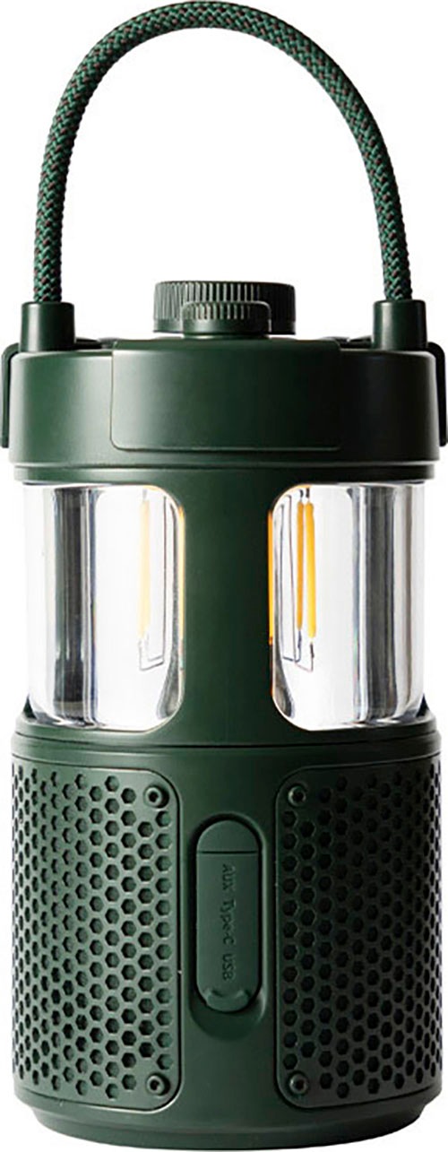 Pure Portable-Lautsprecher »Woodland Glow«