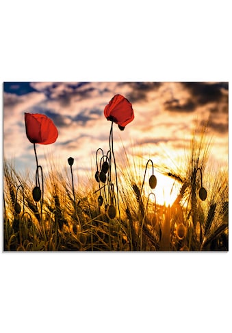 Artland Glasbild »Mohnblumen im Sonnenuntergang«, Blumen, (1 St.) kaufen