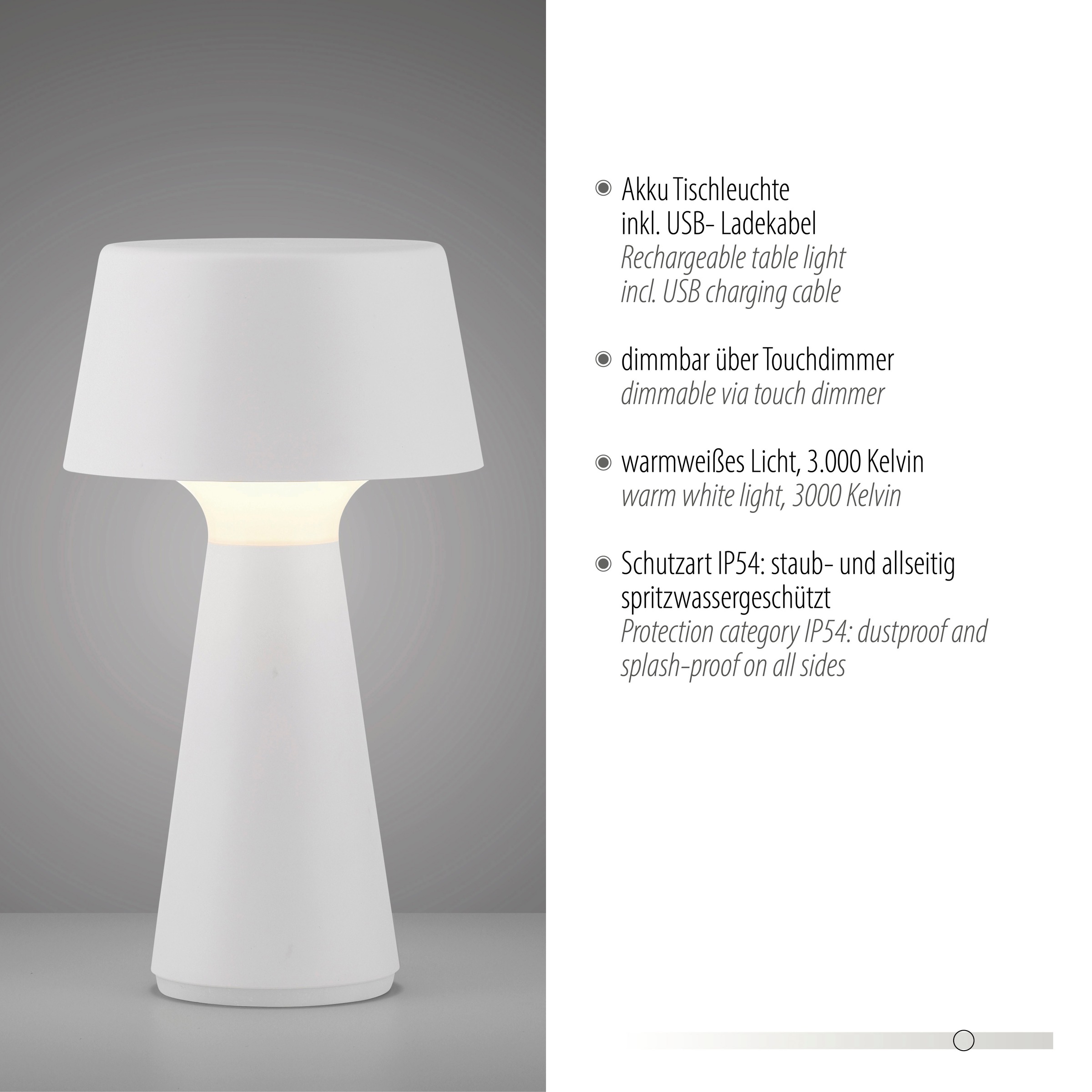 JUST LIGHT Tischleuchte »ABERA«, 1 flammig, Leuchtmittel LED-Modul | LED fest integriert, Akkuleuchte
