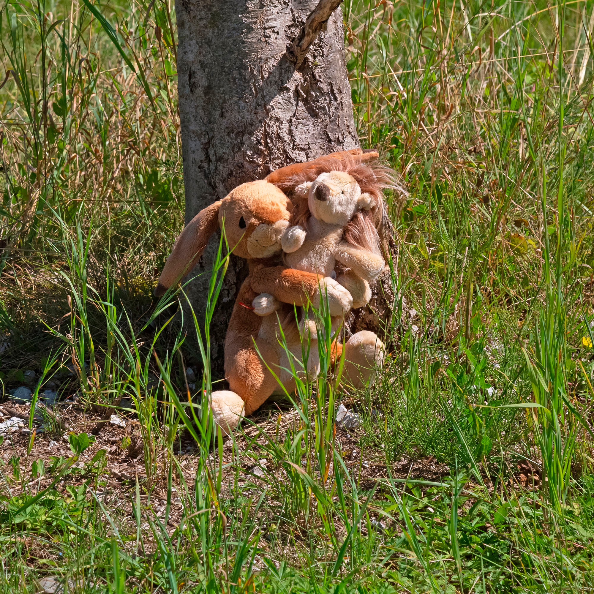 Sigikid Kuscheltier »sigikid & Friends, Wir Zwei, Hase, s«