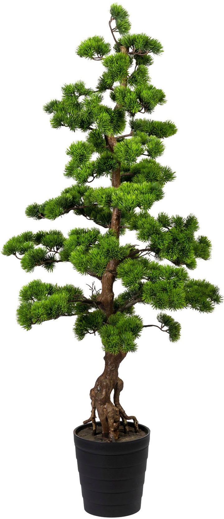 Creativ green Kunstbonsai »Bonsai Kiefer« günstig online kaufen