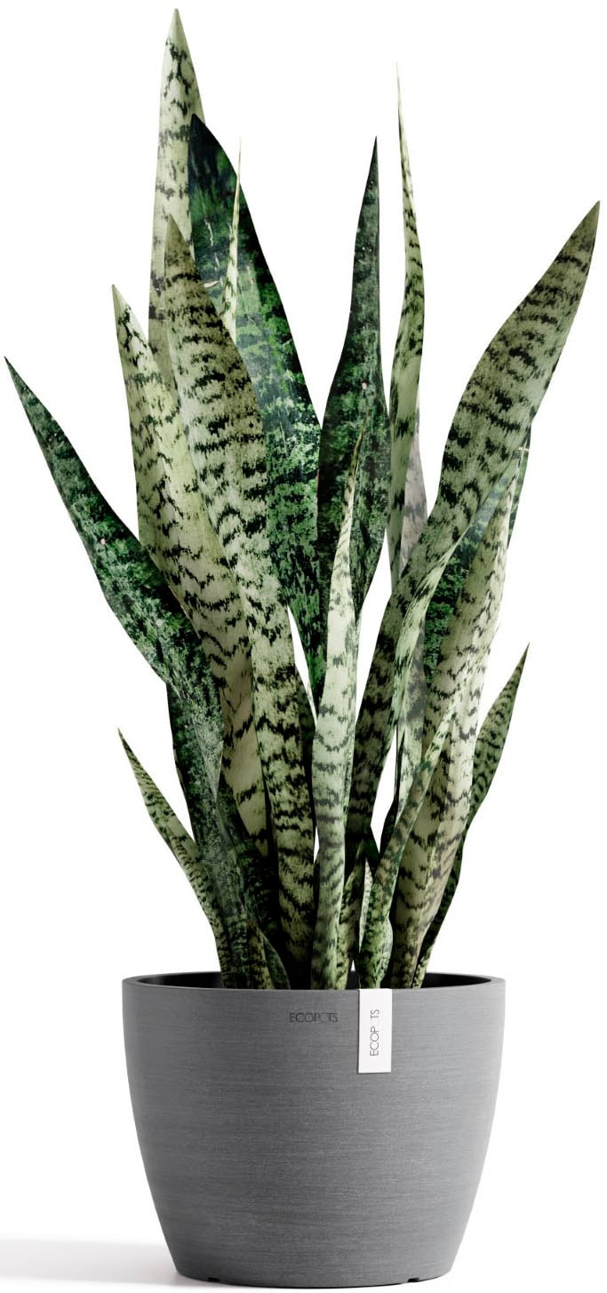 ECOPOTS Blumentopf »Stockholm 24 Grau« für innen und außen: frostsicher, bruchsicher und lichtbeständig