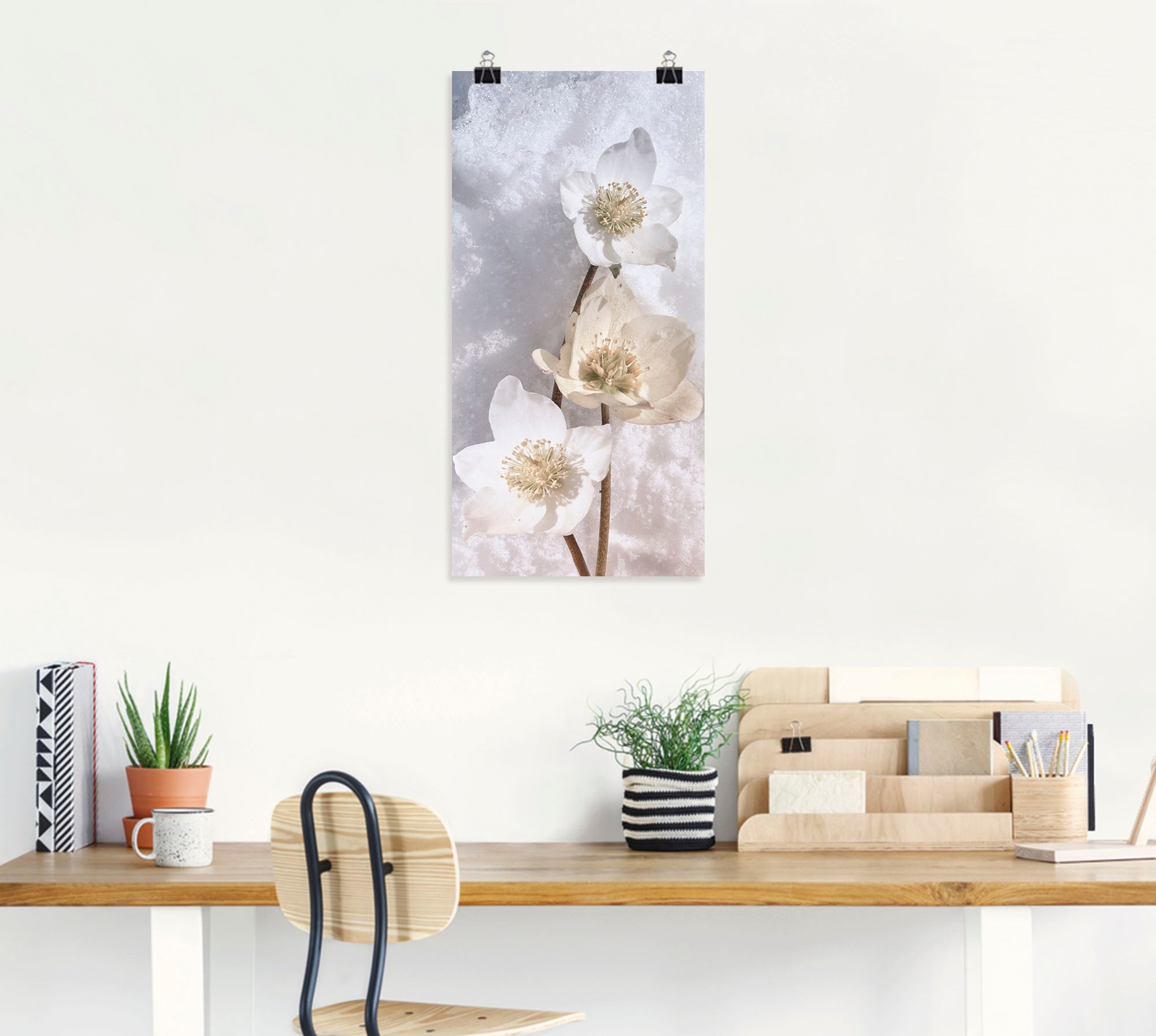 Artland Wandbild »Christrose im Schnee«, Blumen, (1 St.), als Leinwandbild, Poster in verschied. Größen