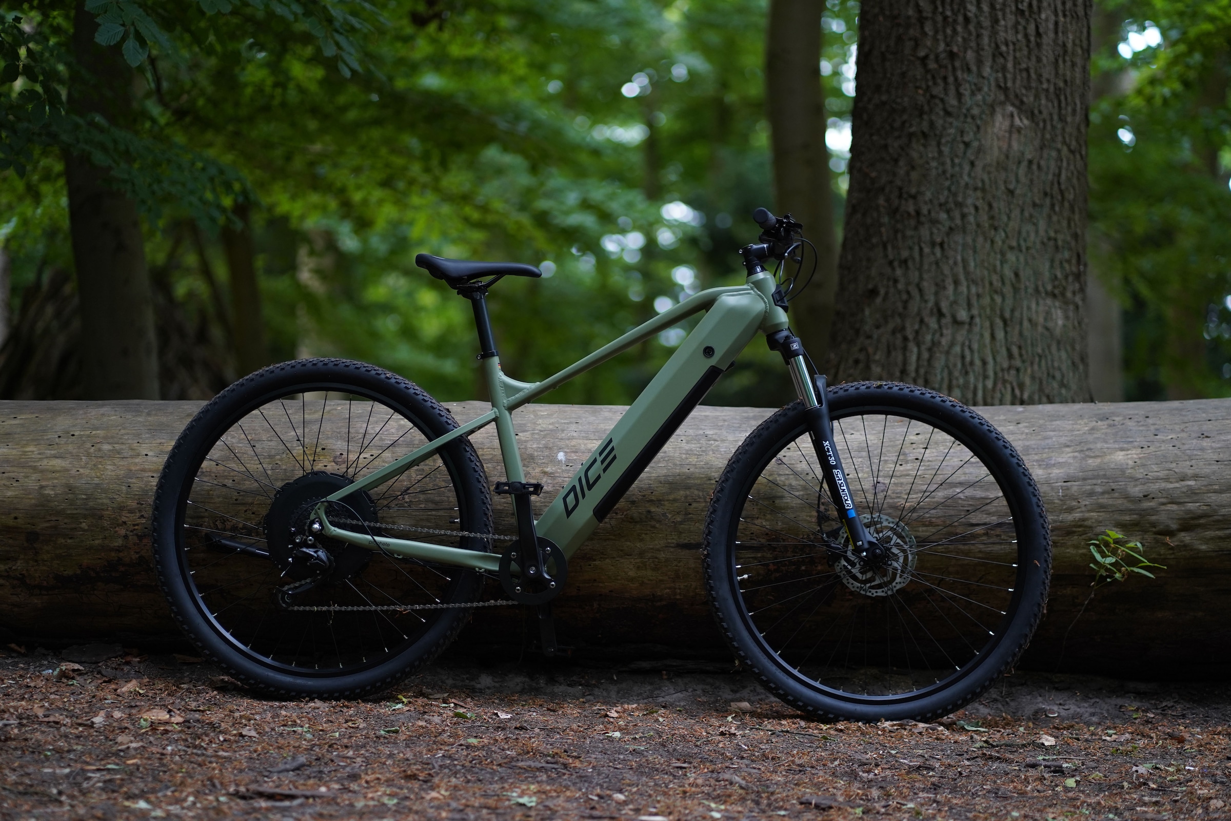 Prophete E-Bike »Dice 2.8«, 9 Gang, Shimano, Alivio, Heckmotor 250 W