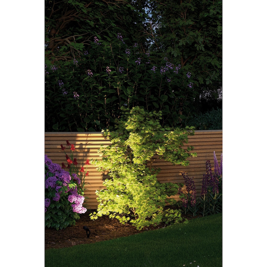 Paulmann LED Gartenstrahler »Plug & Shine«, 3 flammig-flammig