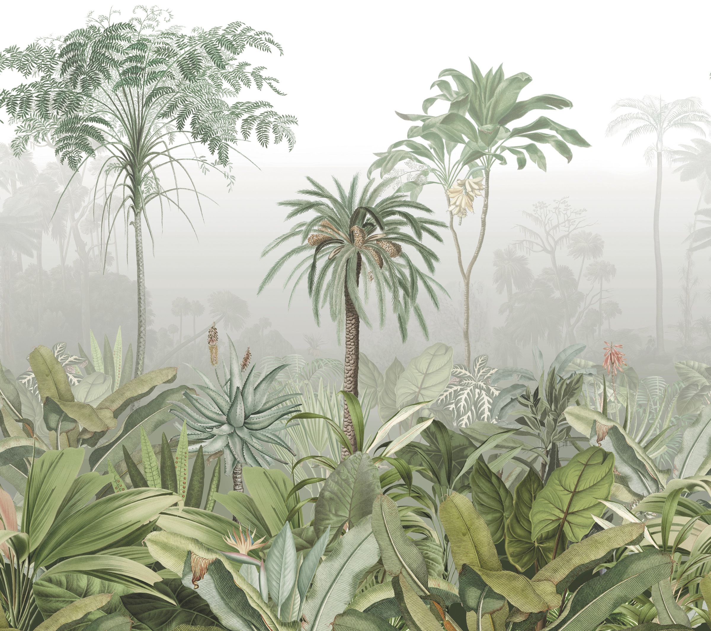 Art for the home Fototapete »Sanne«, botanisch, Grün - 300x280cm